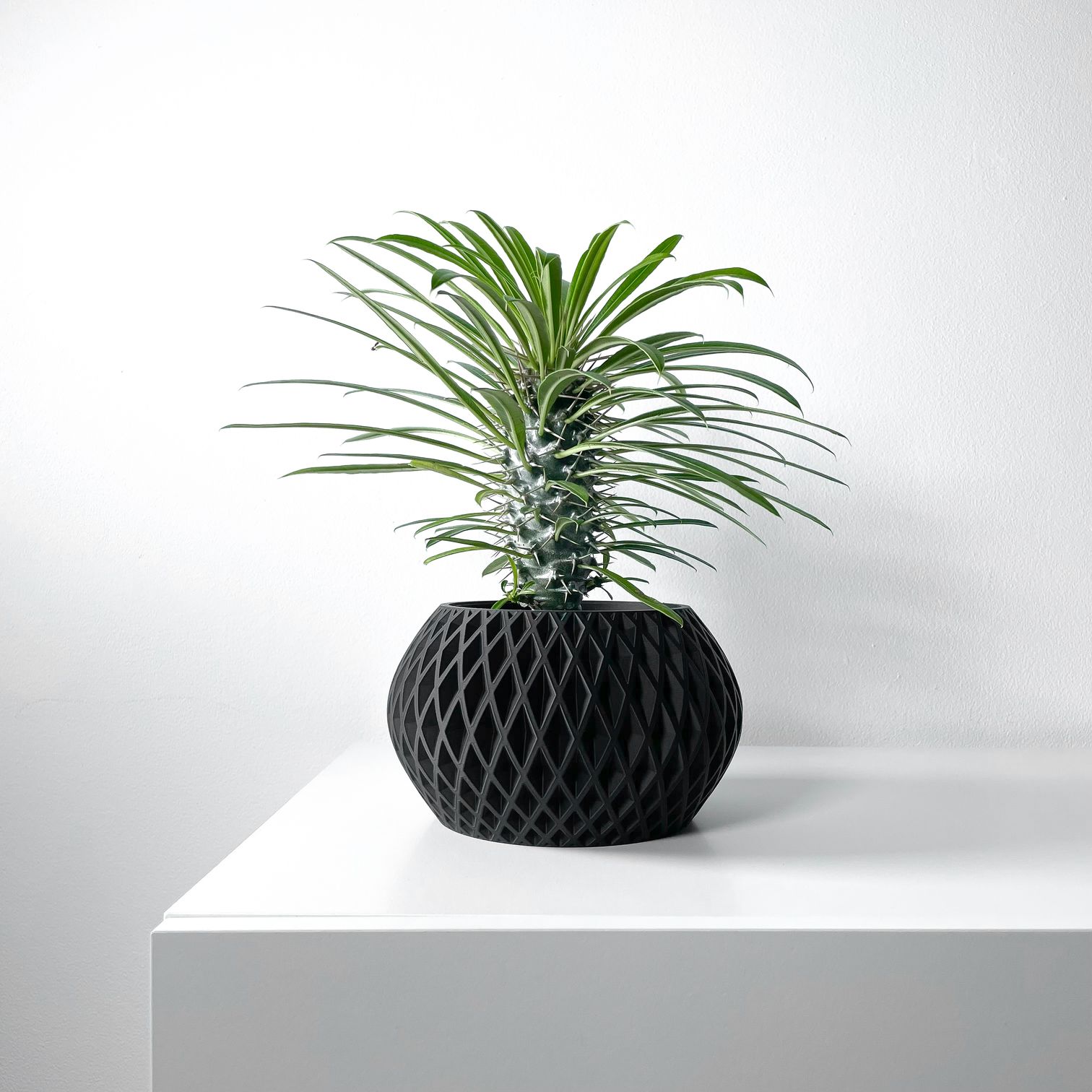 Unikalus Vazonas Gisar – Stilingas ir ekologiškas pasirinkimas jūsų interjerui