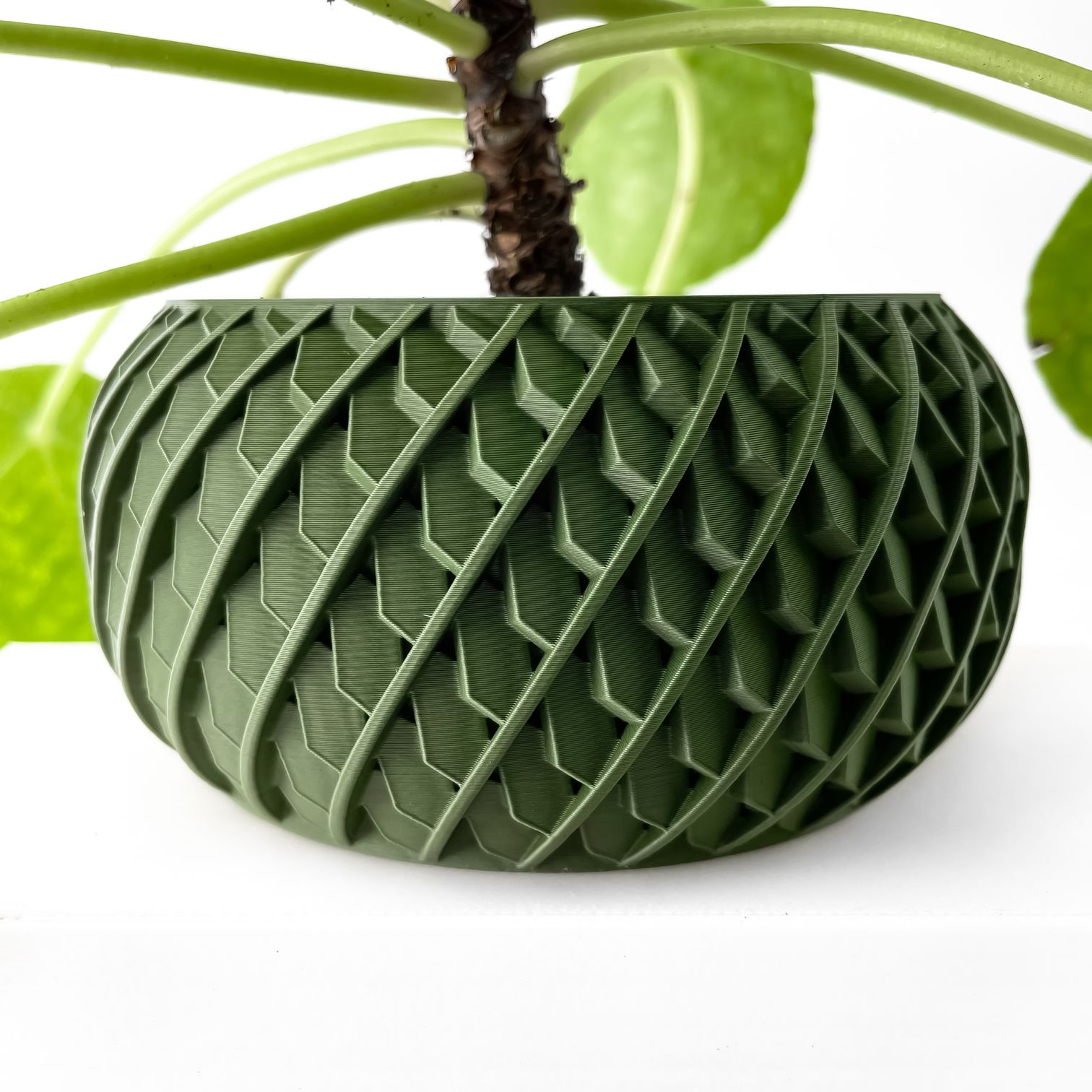 Unikalus Vazonas Evlar – Stilingas ir ekologiškas pasirinkimas jūsų interjerui