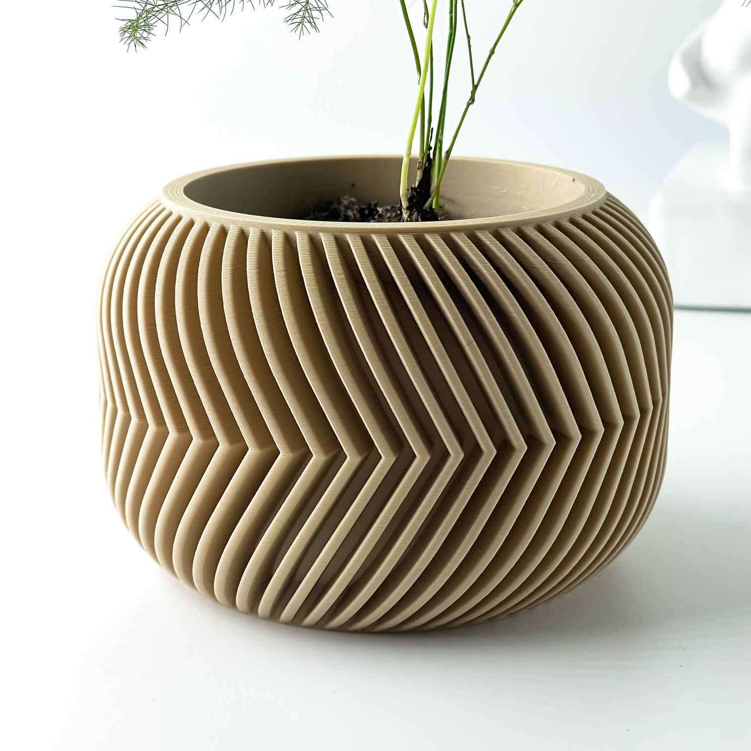 Unikalus Vazonas Ervon – Stilingas ir ekologiškas pasirinkimas jūsų interjerui