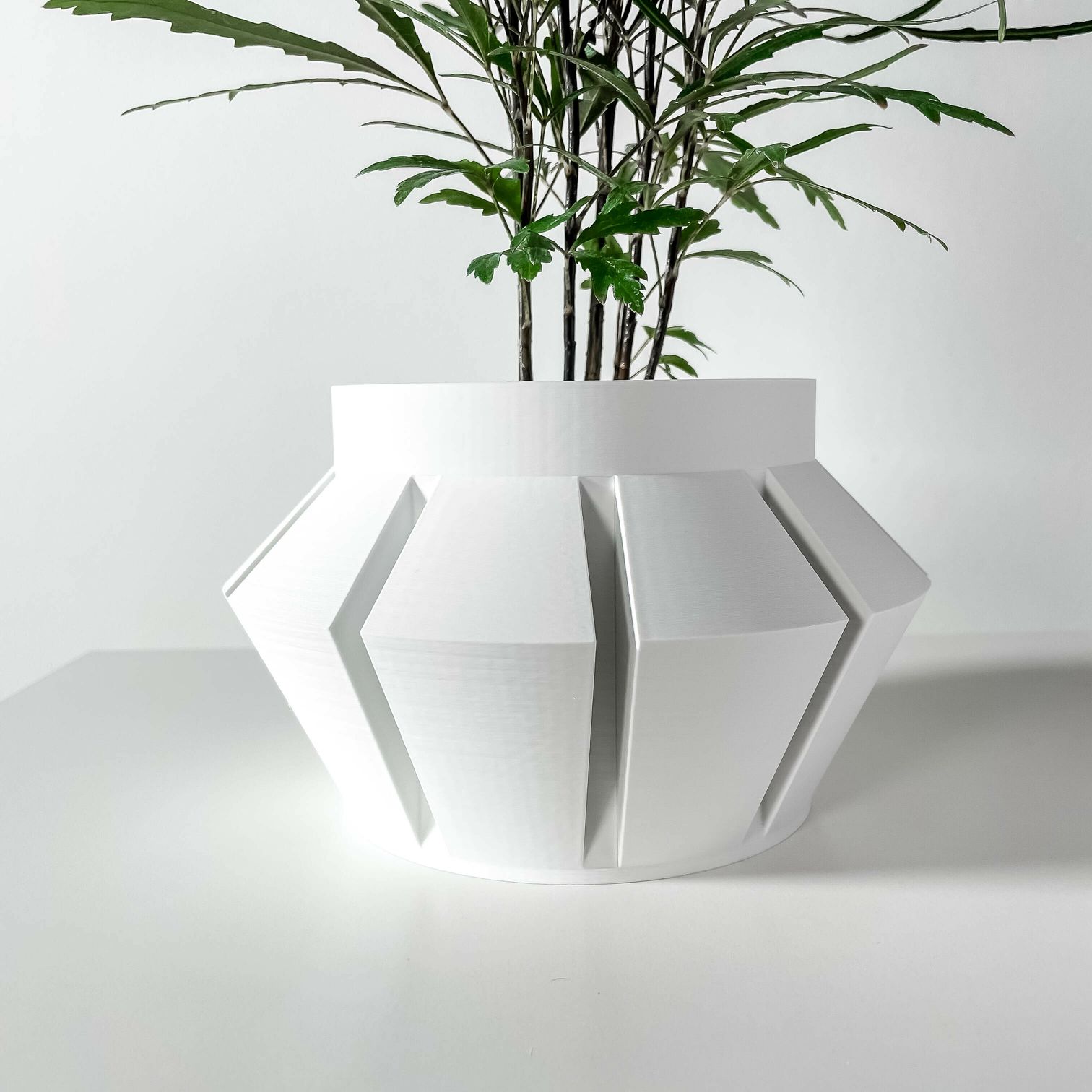 Unikalus Vazonas Erno – Stilingas ir ekologiškas pasirinkimas jūsų interjerui