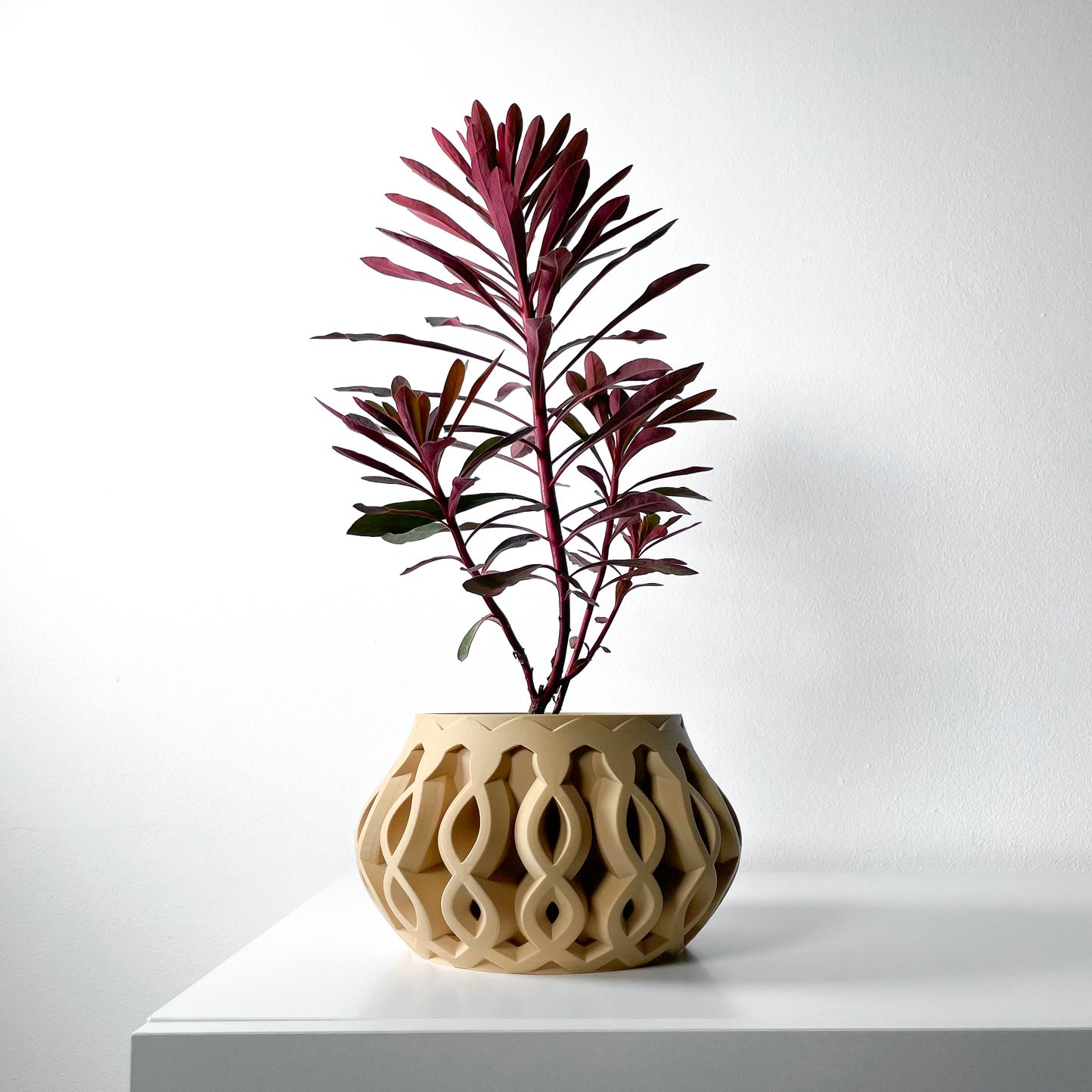 Unikalus Vazonas Cylas – Stilingas ir ekologiškas pasirinkimas jūsų interjerui