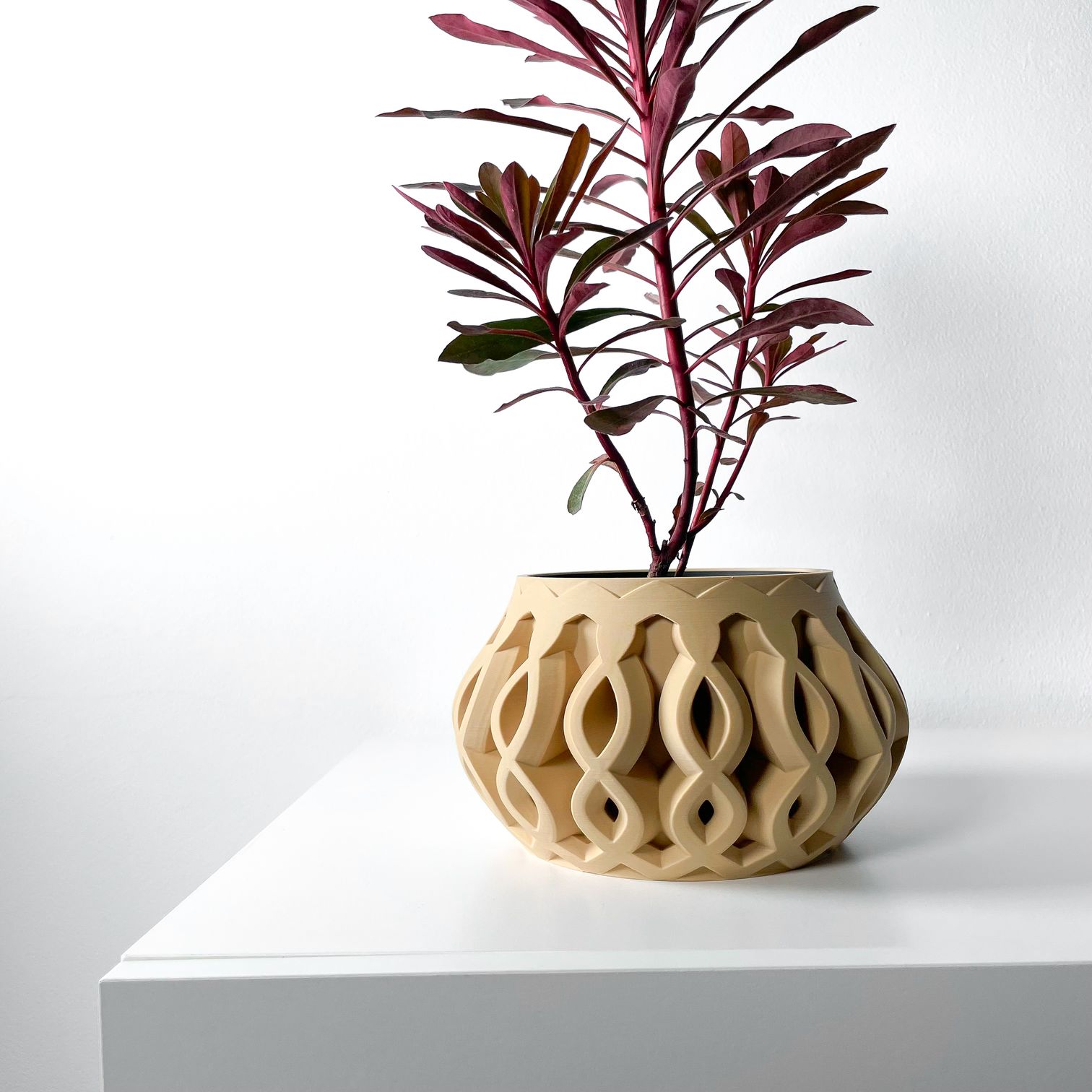 Unikalus Vazonas Cylas – Stilingas ir ekologiškas pasirinkimas jūsų interjerui