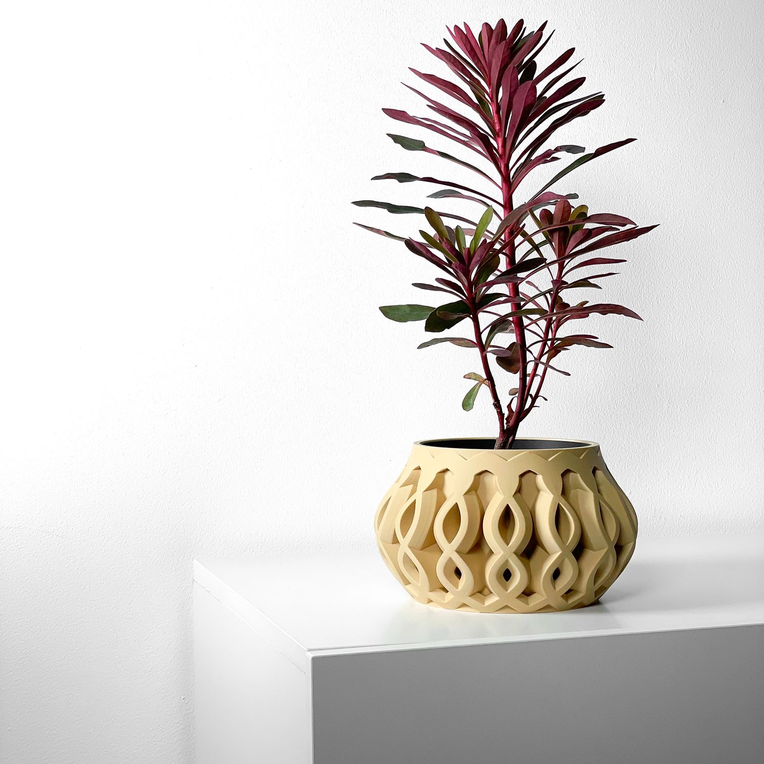 Unikalus Vazonas Cylas – Stilingas ir ekologiškas pasirinkimas jūsų interjerui