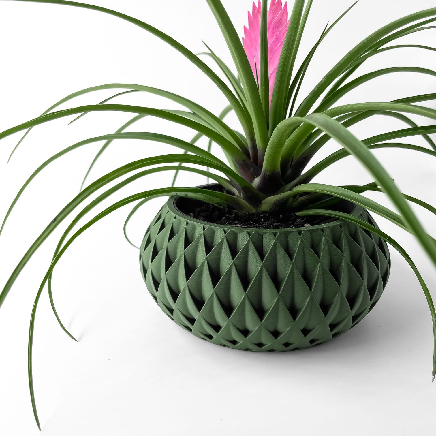 Unikalus Vazonas Cinor – Stilingas ir ekologiškas pasirinkimas jūsų interjerui