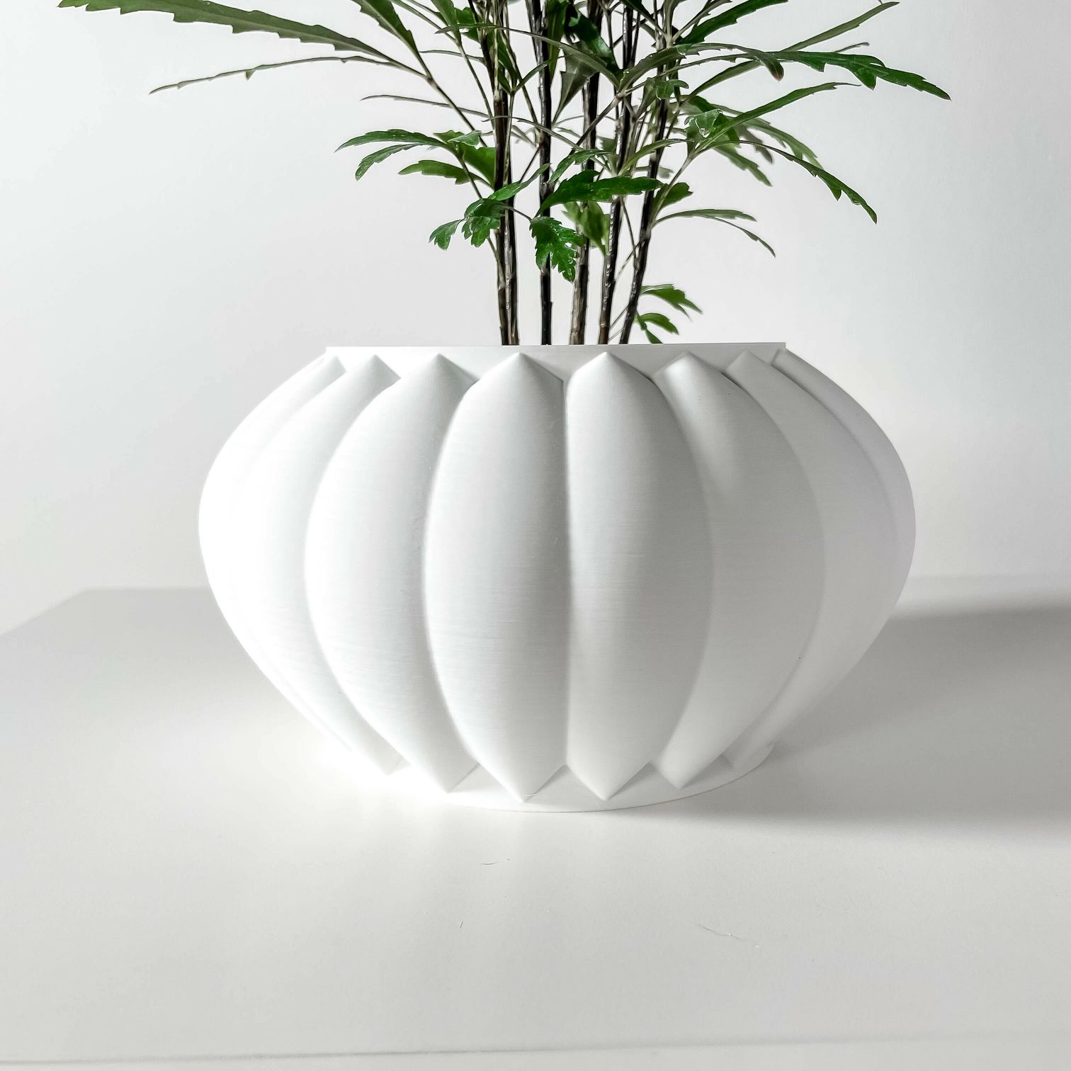 Unikalus Vazonas Bunos – Stilingas ir ekologiškas pasirinkimas jūsų interjerui