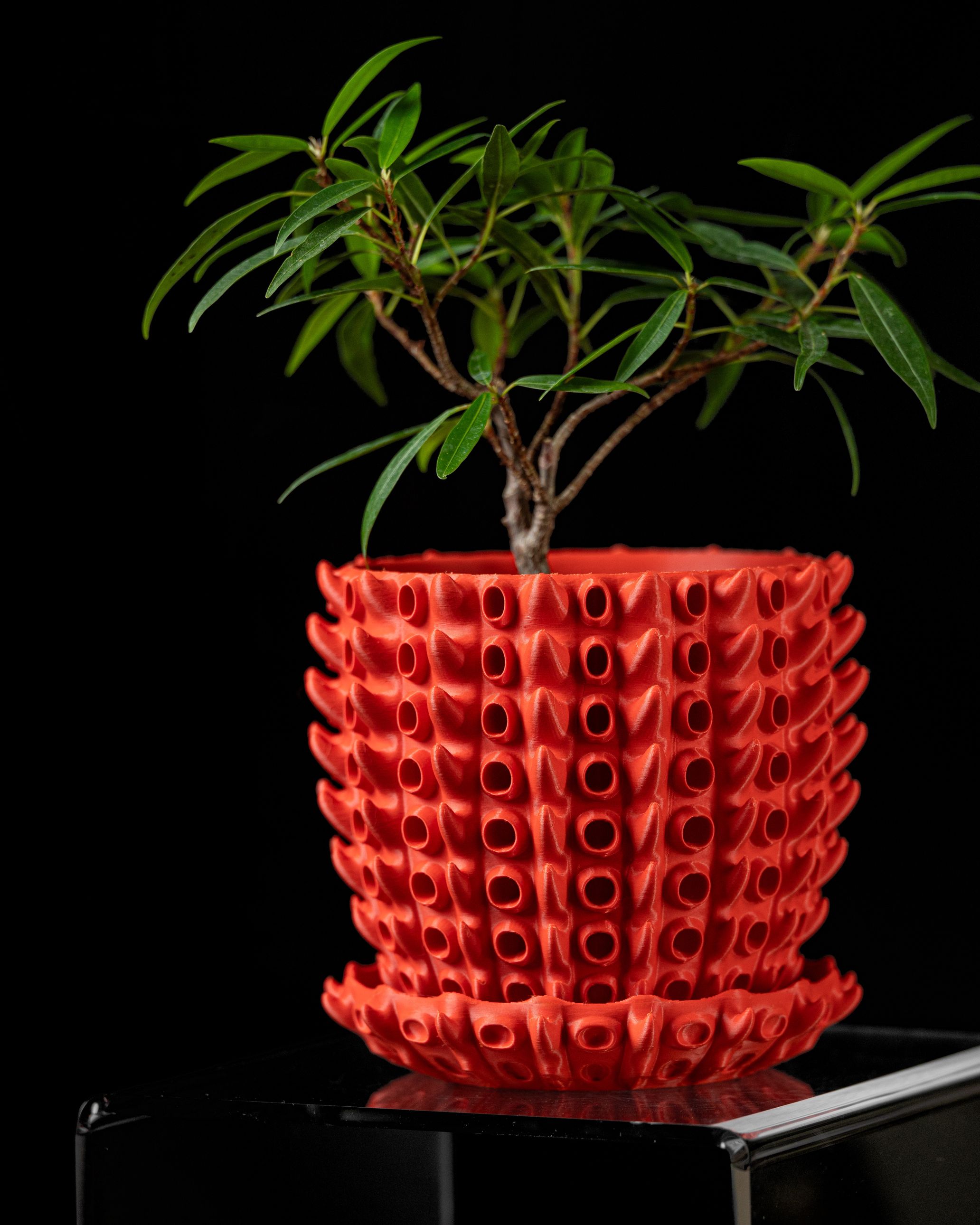 Unikalus Vazonas Barnacle – Stilingas ir ekologiškas pasirinkimas jūsų interjerui