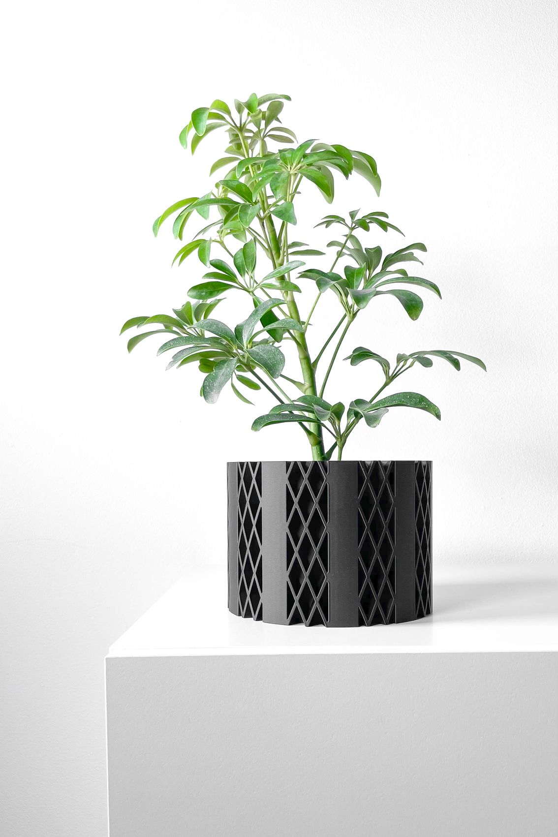 Unikalus Vazonas Arven – Stilingas ir ekologiškas pasirinkimas jūsų interjerui