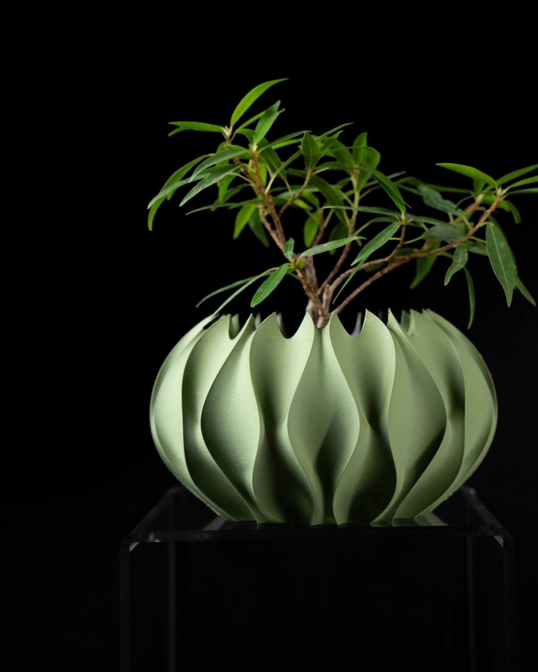 Unikalus Vazonas Abyssal – Stilingas ir ekologiškas pasirinkimas jūsų interjerui