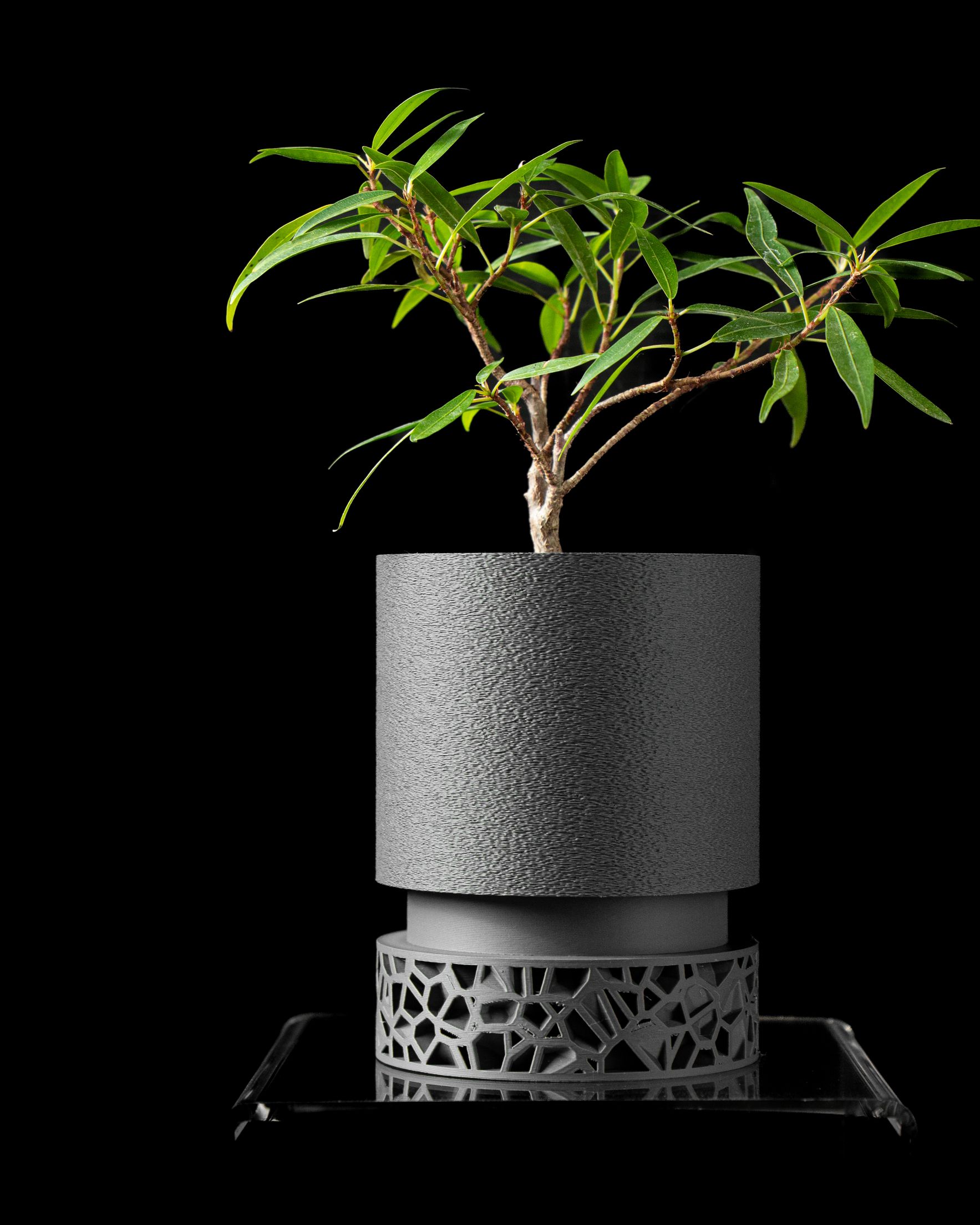 Unikalus Vazonas Vori – Stilingas ir ekologiškas pasirinkimas jūsų interjerui