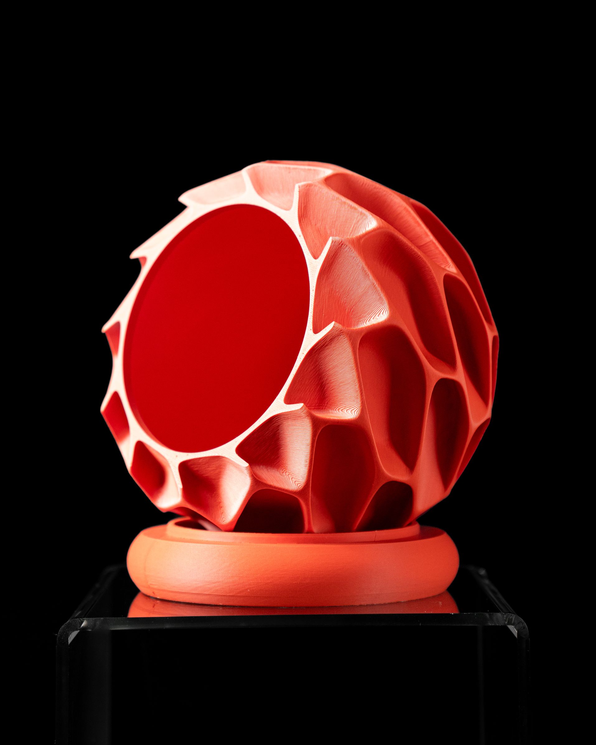 Unikalus Vazonas Exo – Stilingas ir ekologiškas pasirinkimas jūsų interjerui