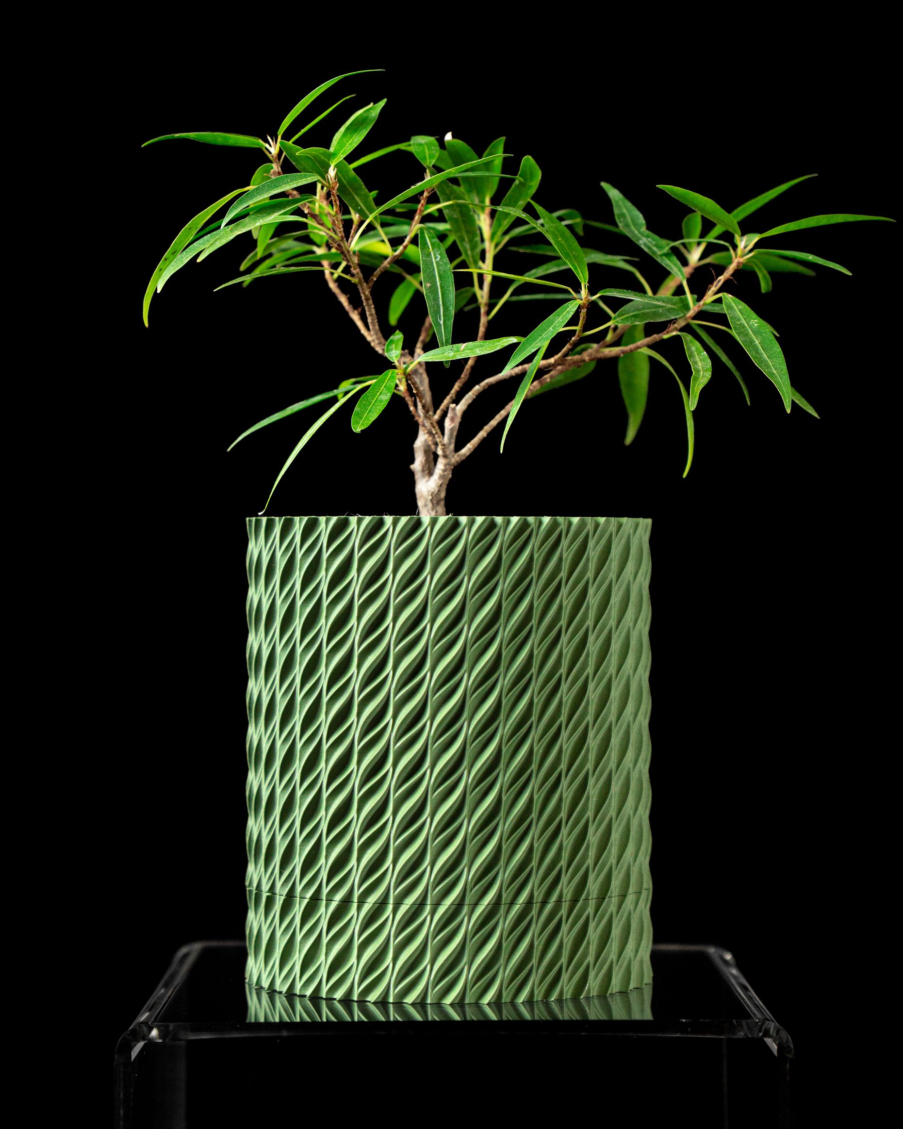 Unikalus Vazonas Flow – Stilingas ir ekologiškas pasirinkimas jūsų interjerui