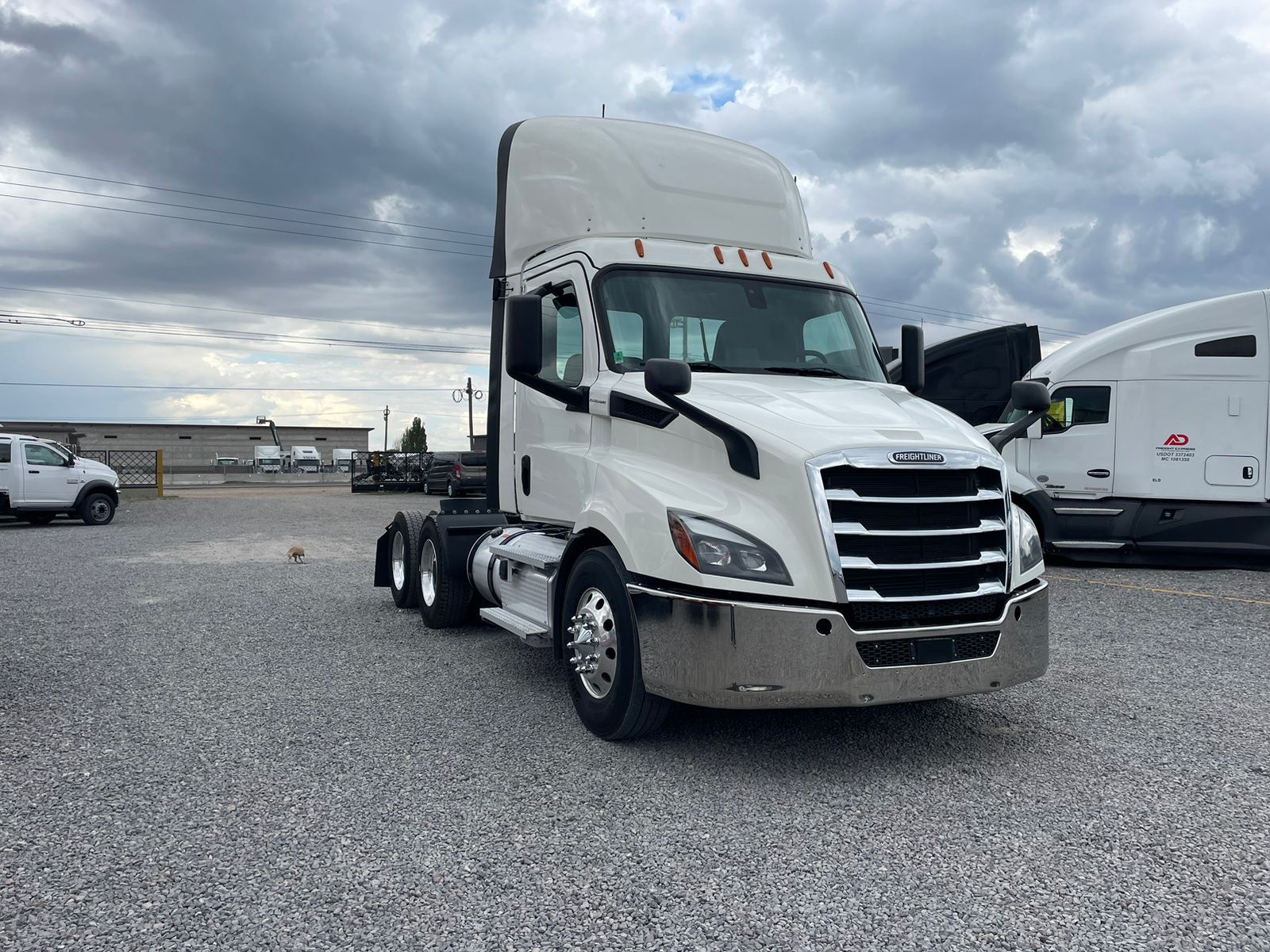 #2549 Camion Freightliner 2019 Motor Detroit DD13 Automatico 42,000lb