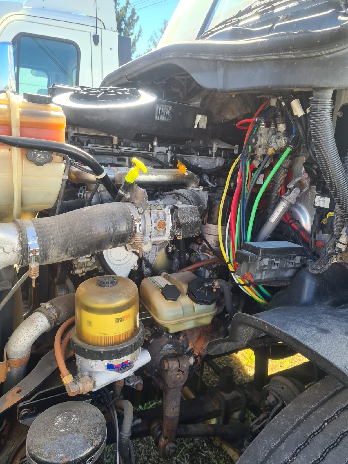 #4011 camion Freightliner Cascadia Day Cab 2013 Motor DD13 Automatico Placas Estatales