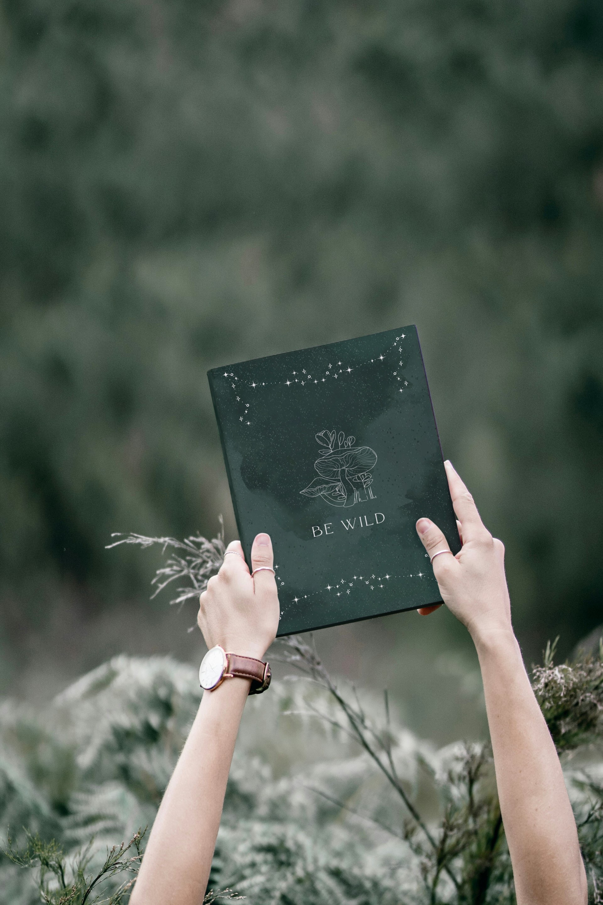 Manifestation Journal
