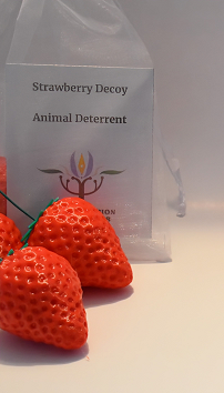 Animal Deterrent - Strawberry