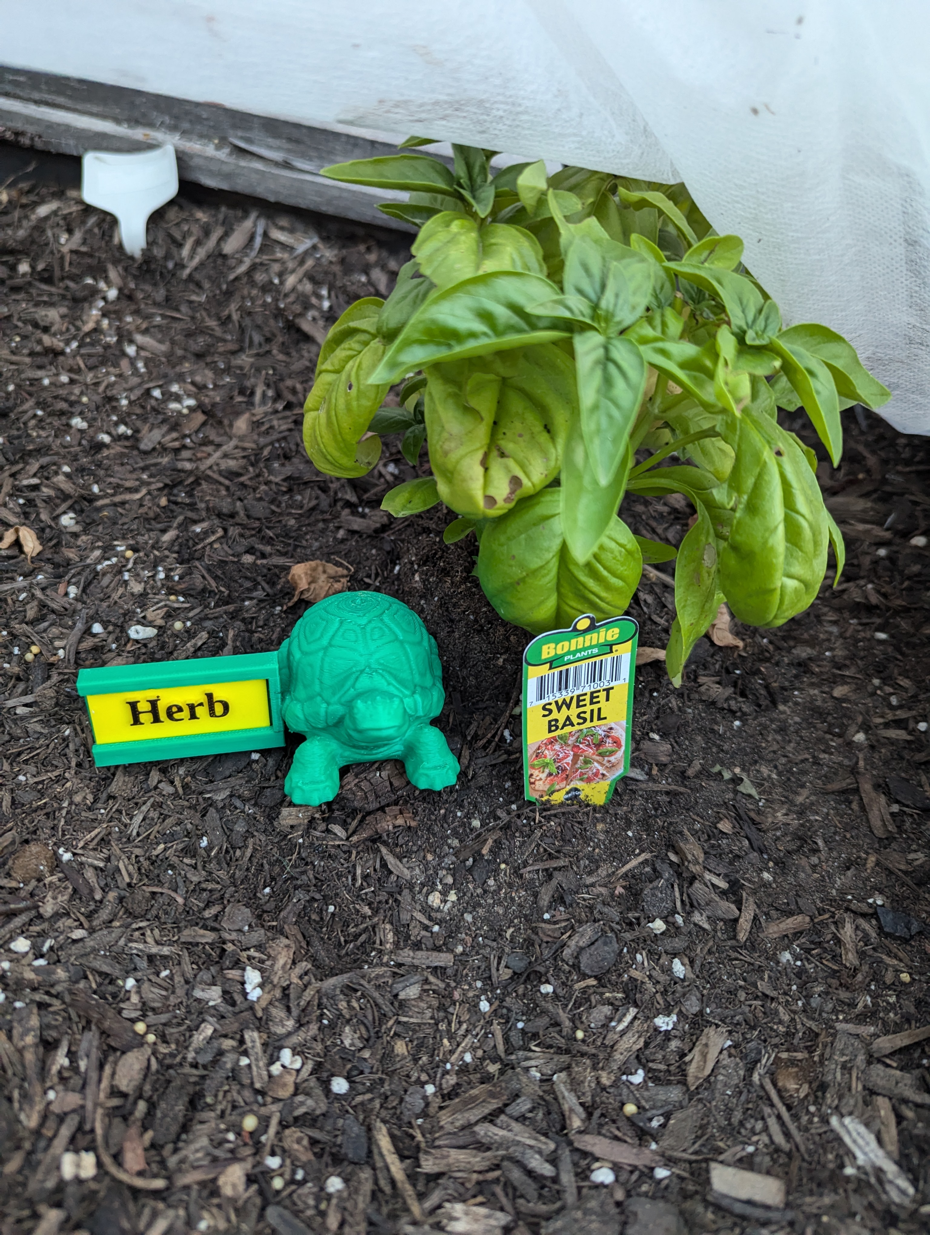 Plant guardian - Turtle