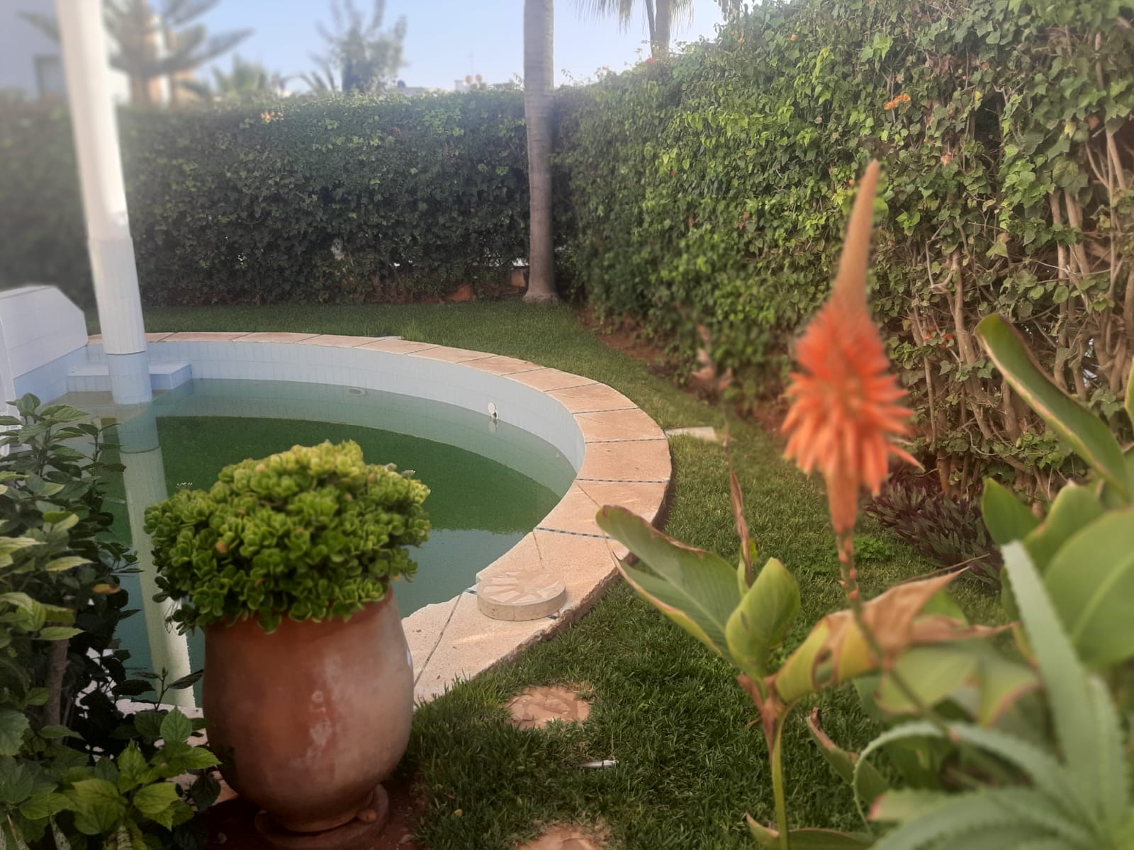 Loue villa meublée piscine plein soleil