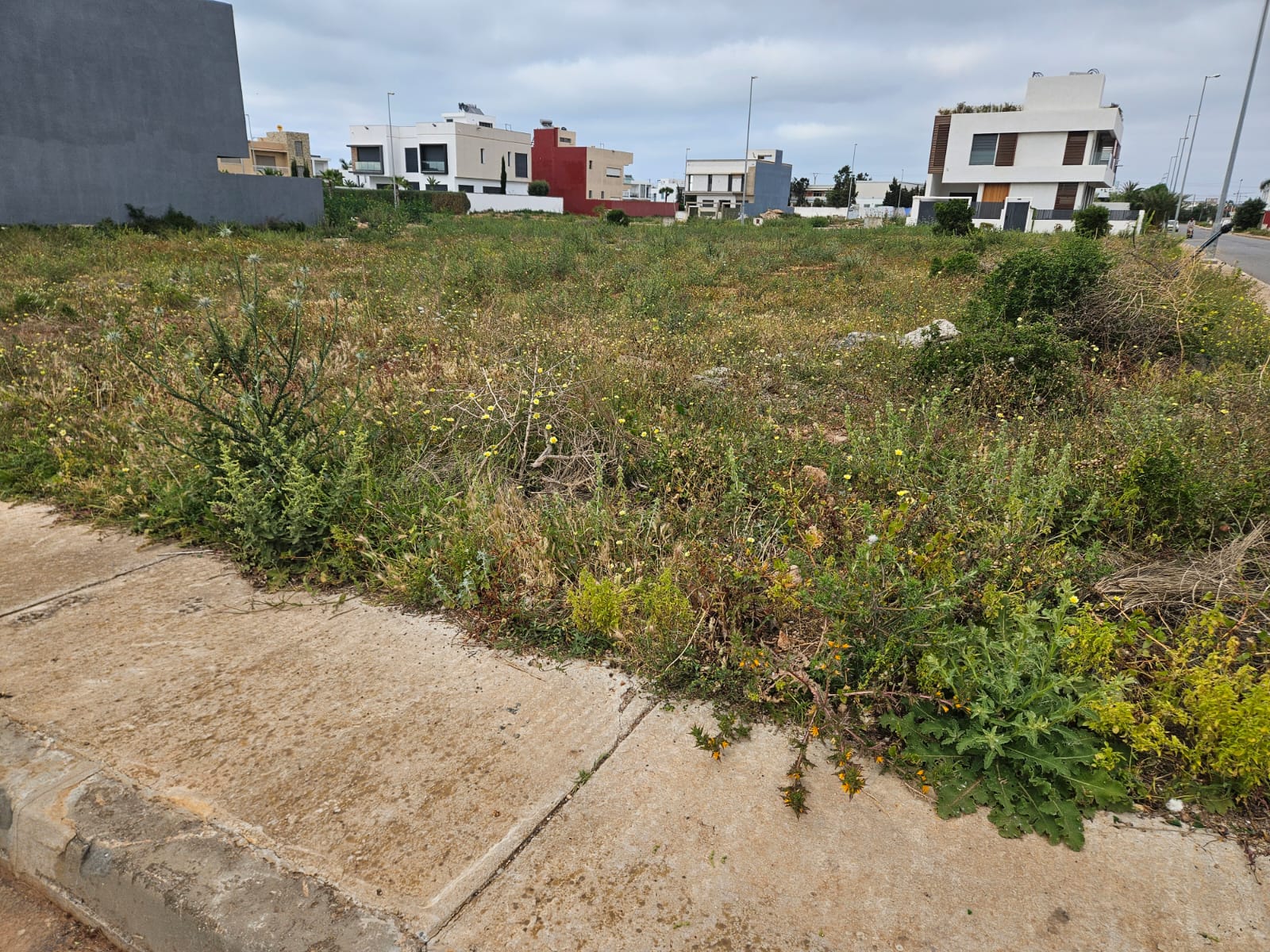 Terrain a vendre sur la route