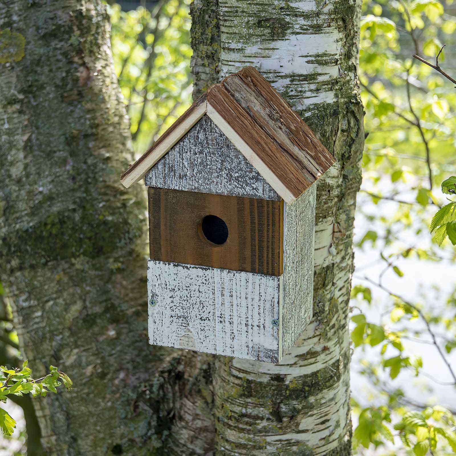 Nistkasten 