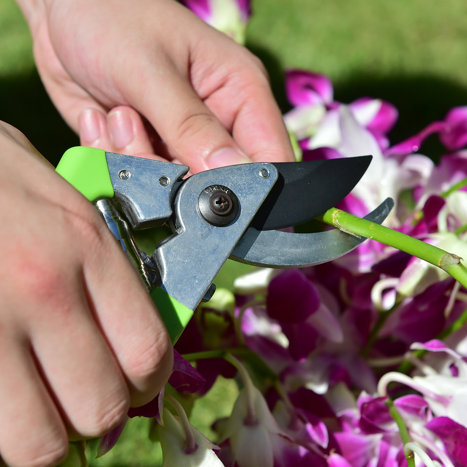 YARDSMITH Bypass-Gartenschere 22 cm