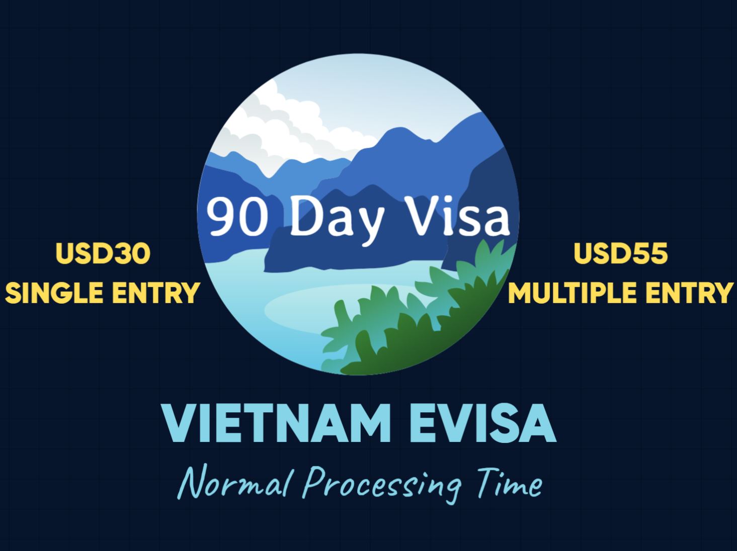 90-Day Vietnam eVisa