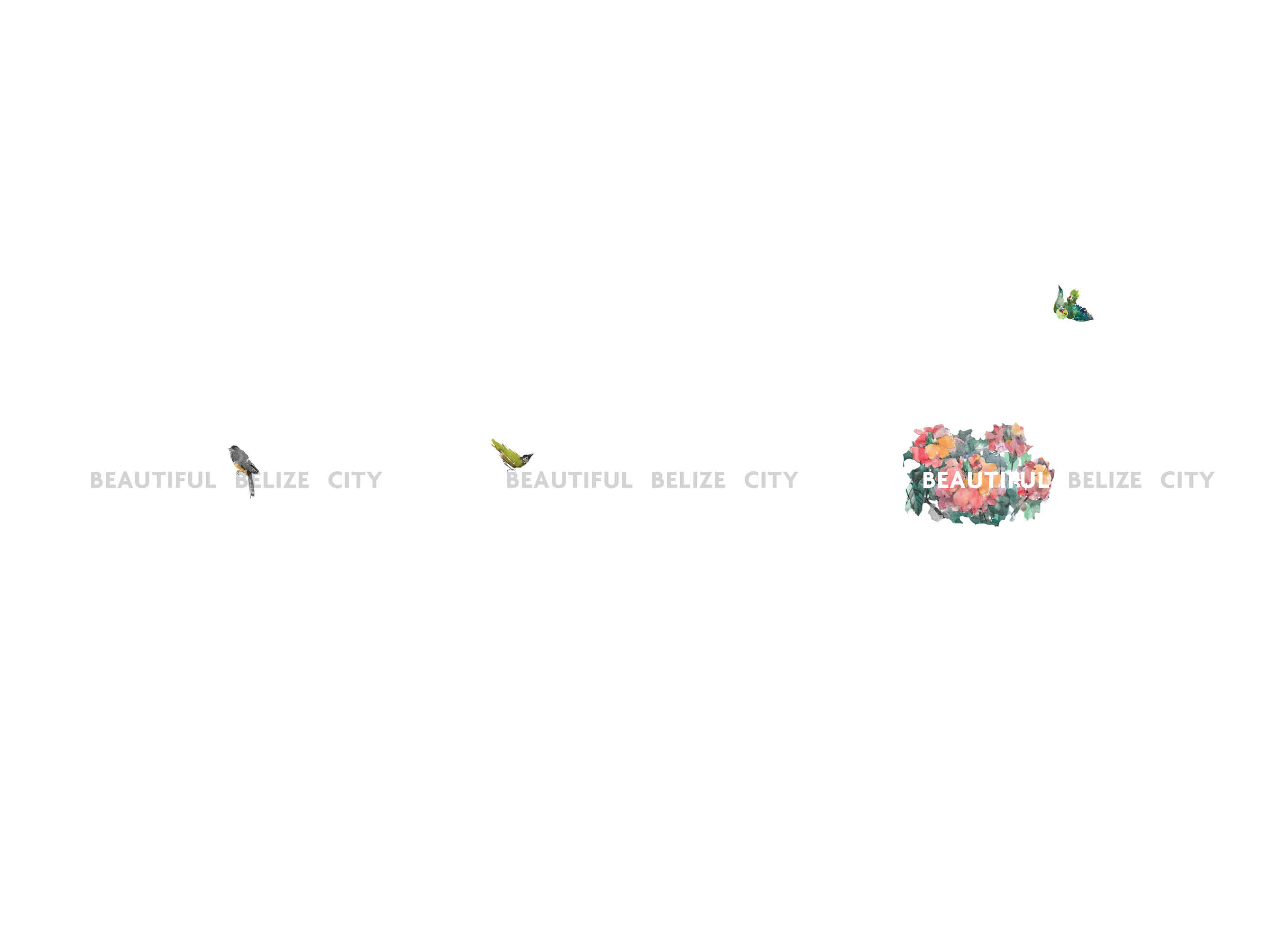 BEAUTIFUL BELIZE CITY