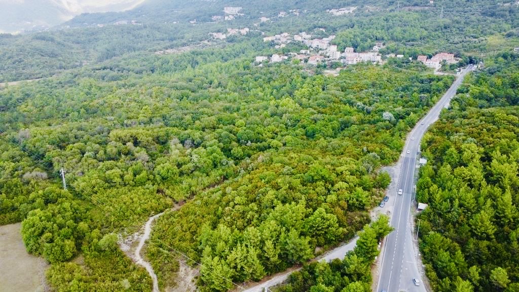 Large plot of land for sale (Kavač)