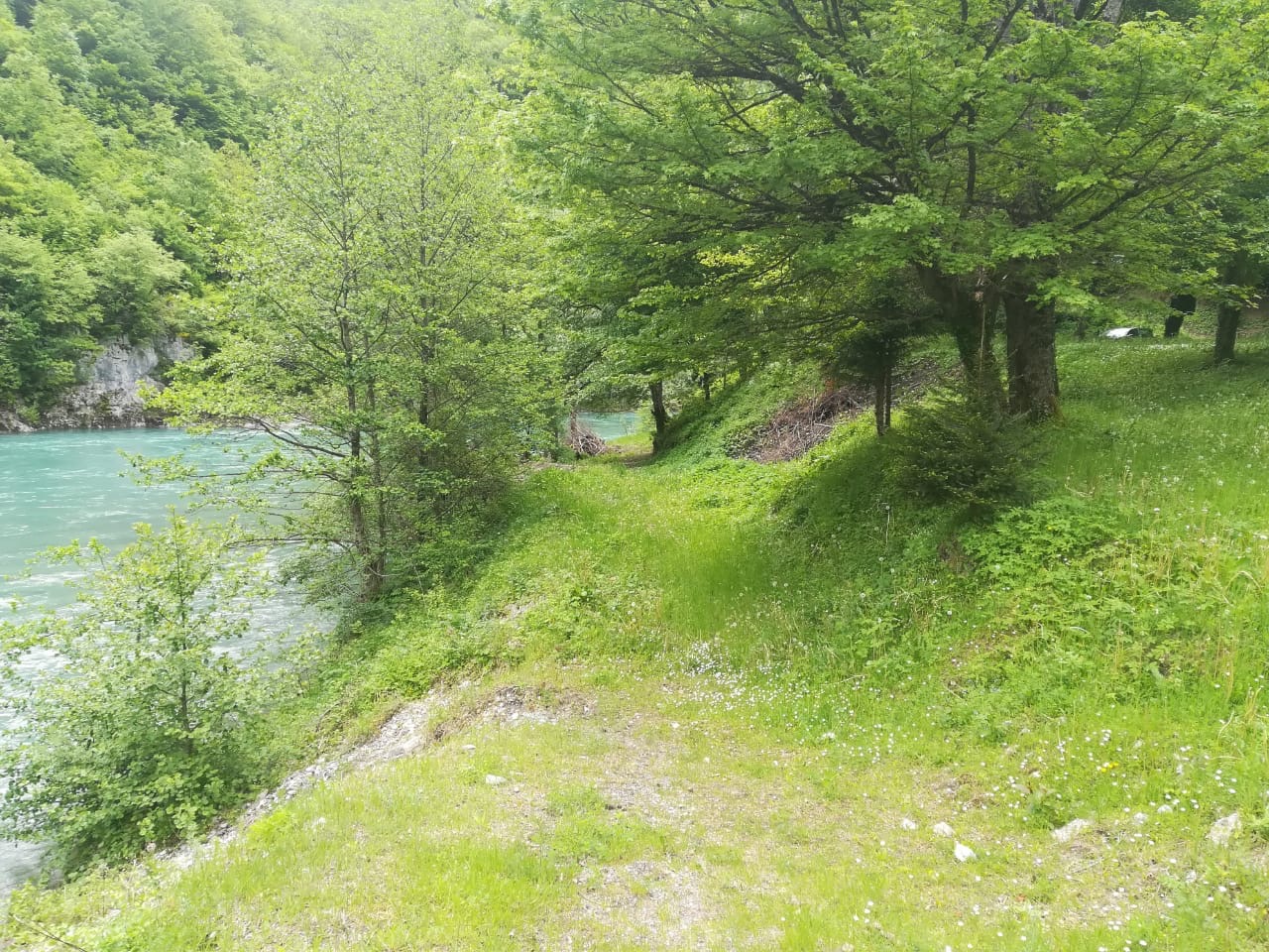 Large plot of land for sale (by Tara river)