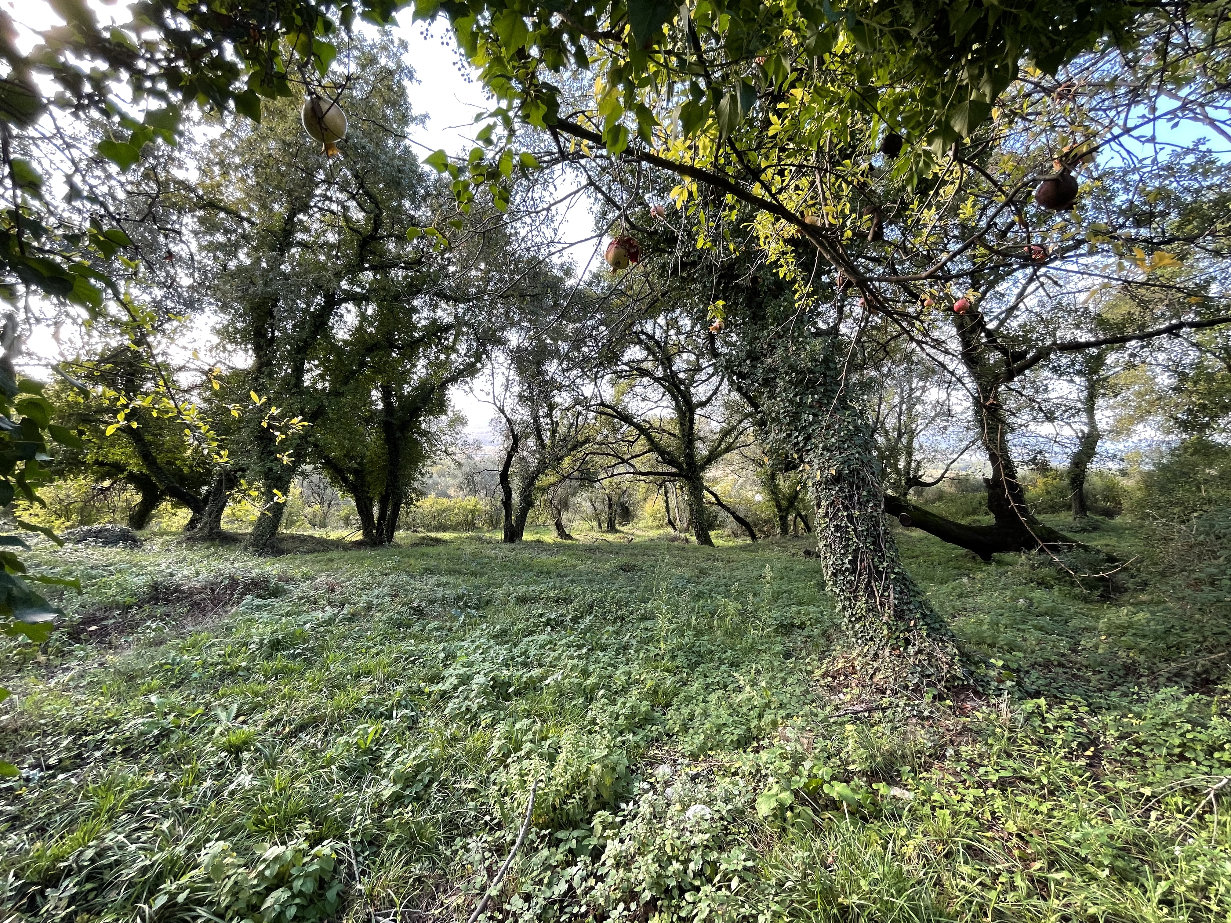 Large plot of land with seaview for sale (Kavač)