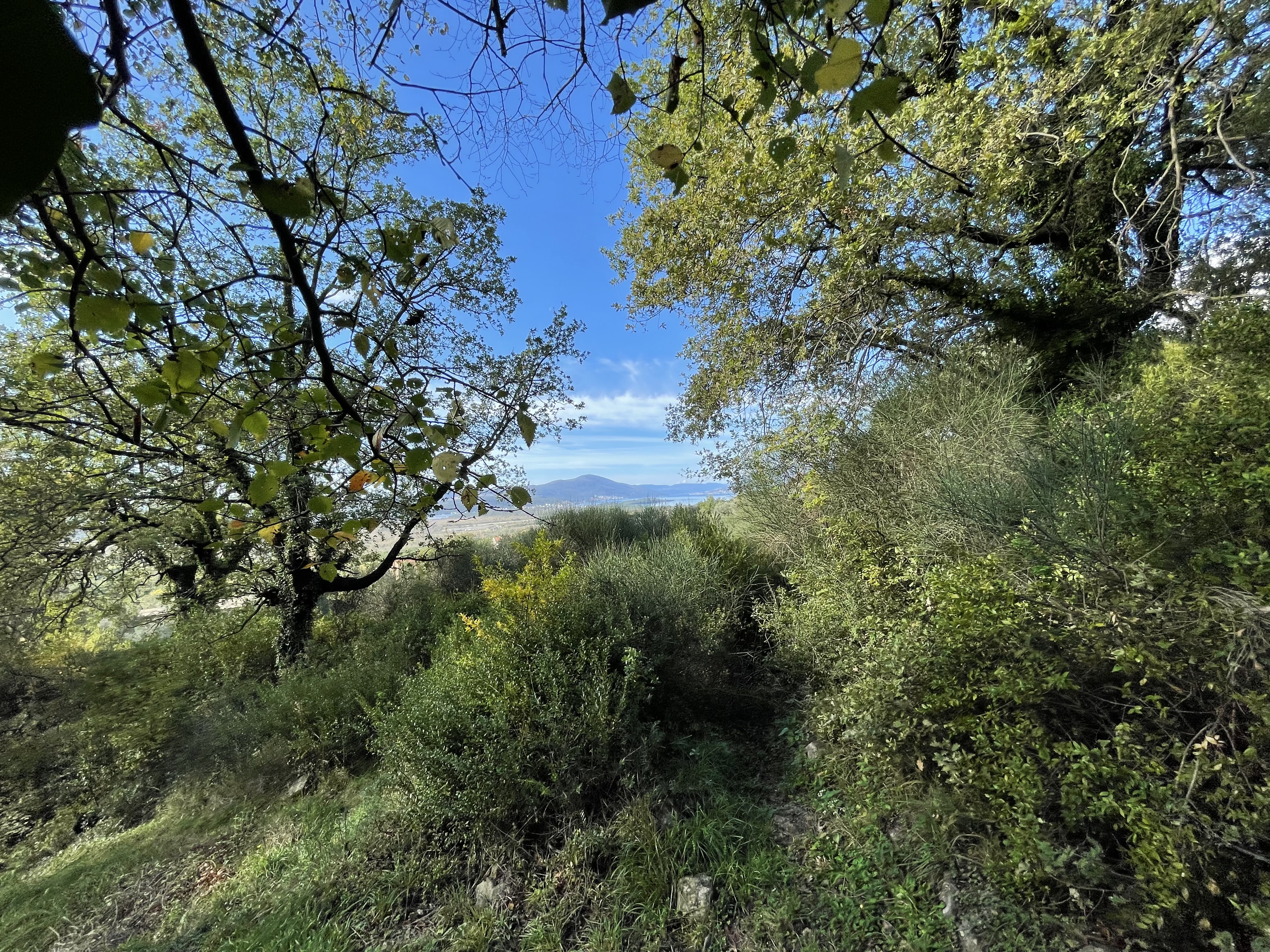 Large plot of land with seaview for sale (Kavač)
