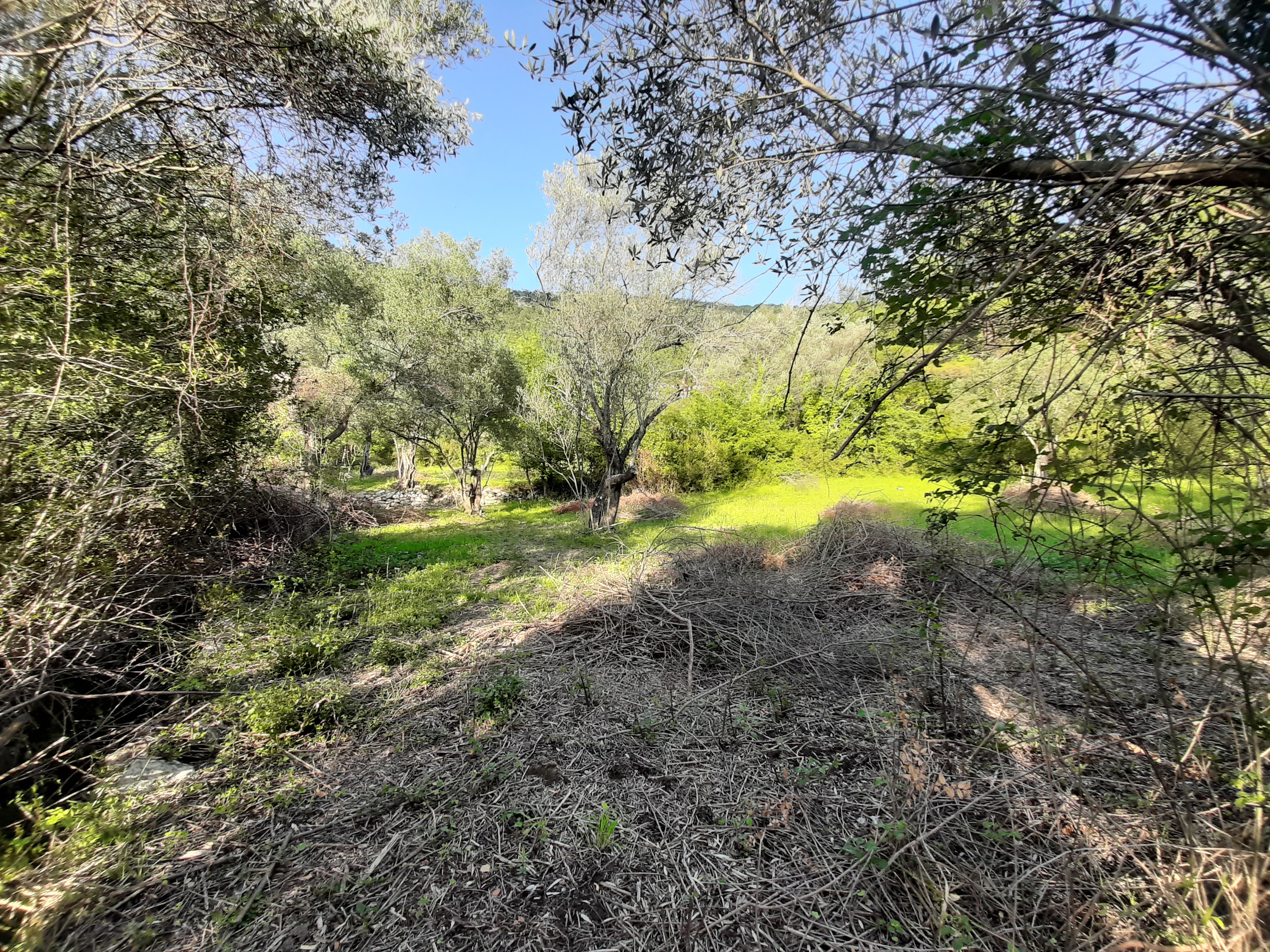 Budget plots of land for sale (Kavač)