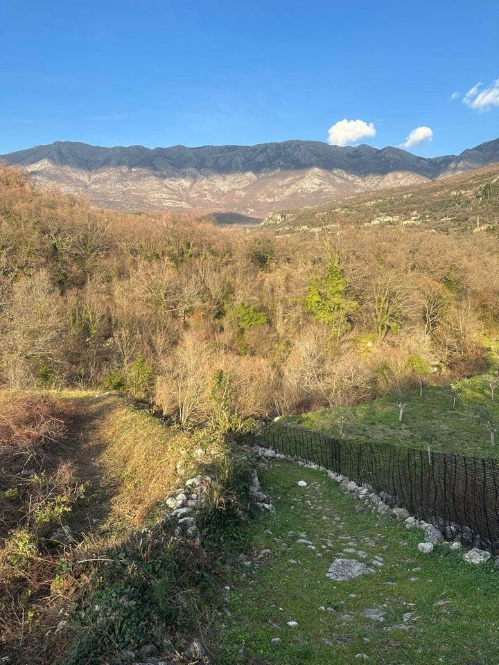 Plot for sale (Radanovići)