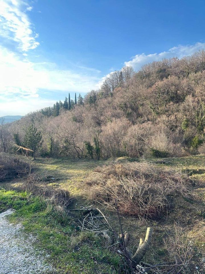 Plot for sale (Radanovići)