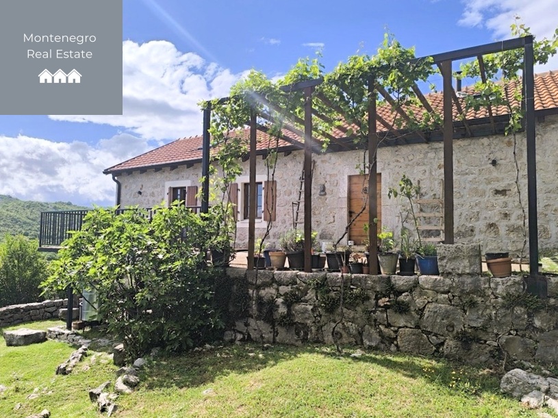 Villa + guest house + vineyard + estate