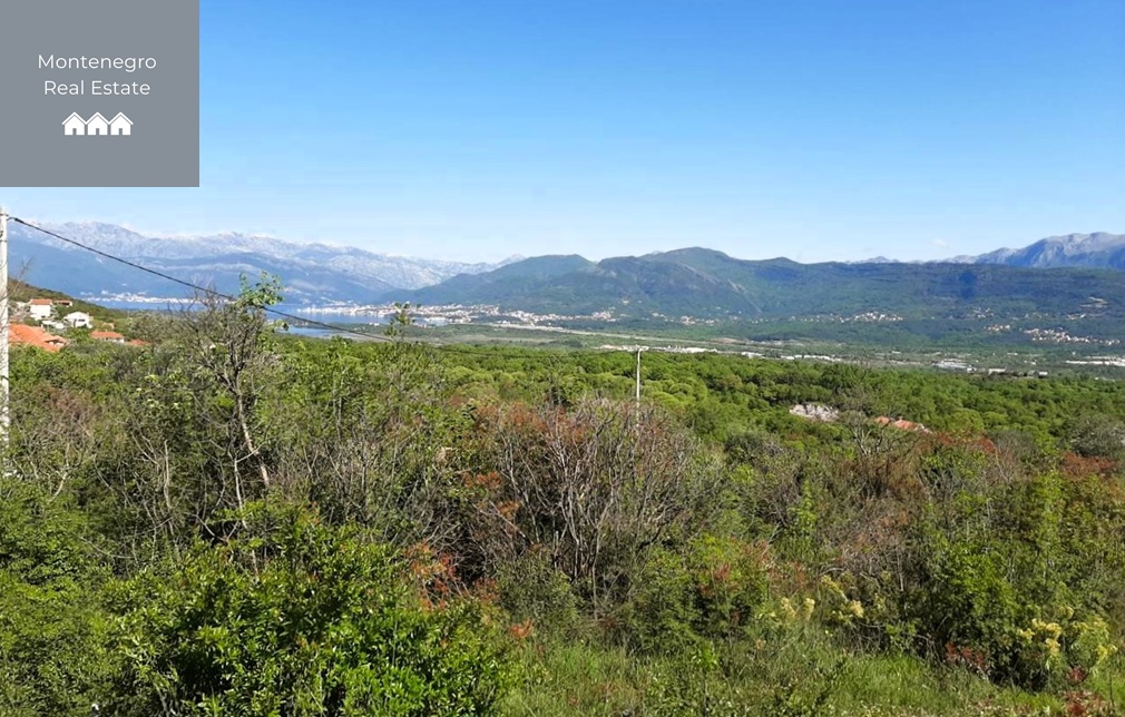 Plots for sale (southern Luštica Peninsula)