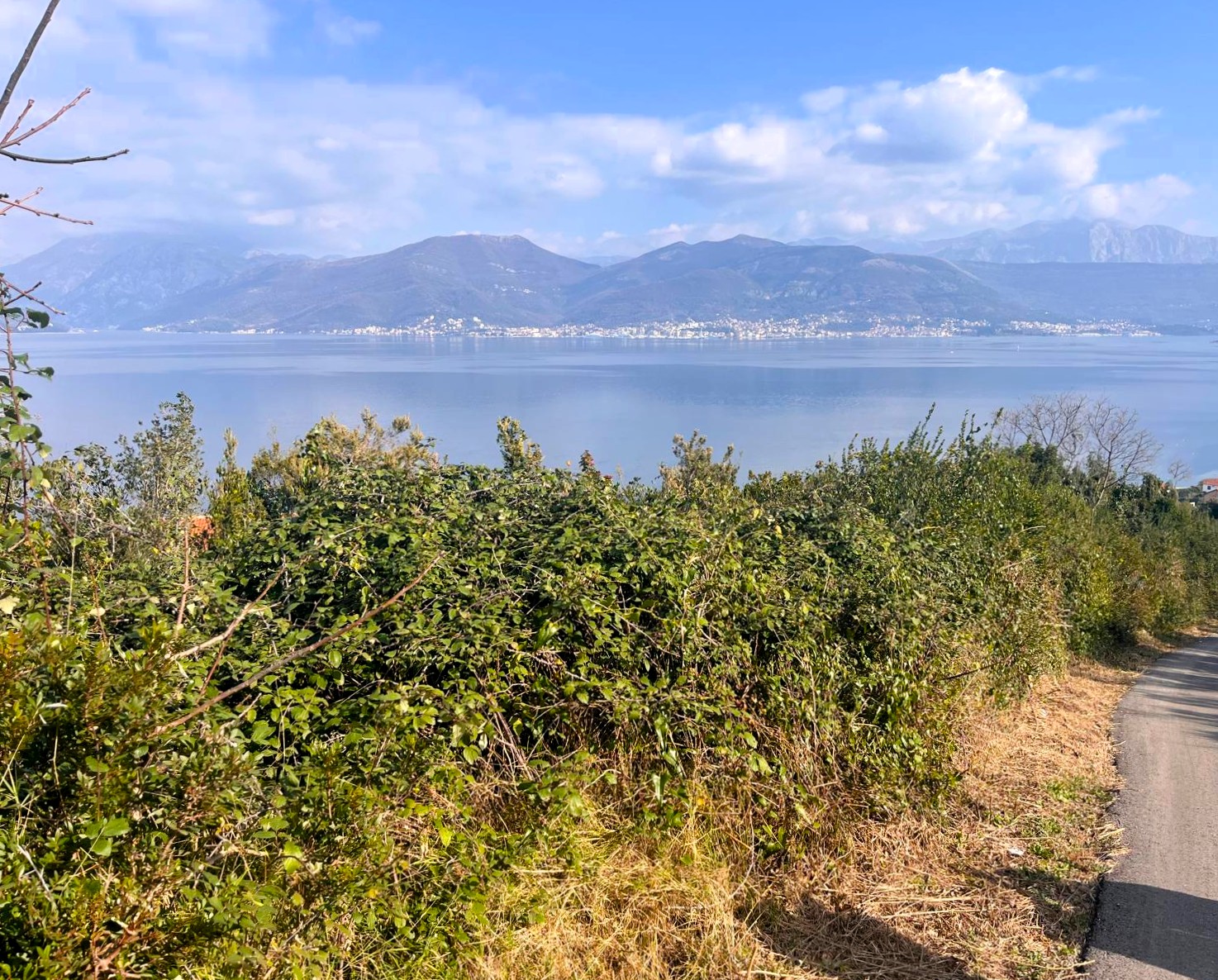 Plots for sale (Luštica Peninsula)