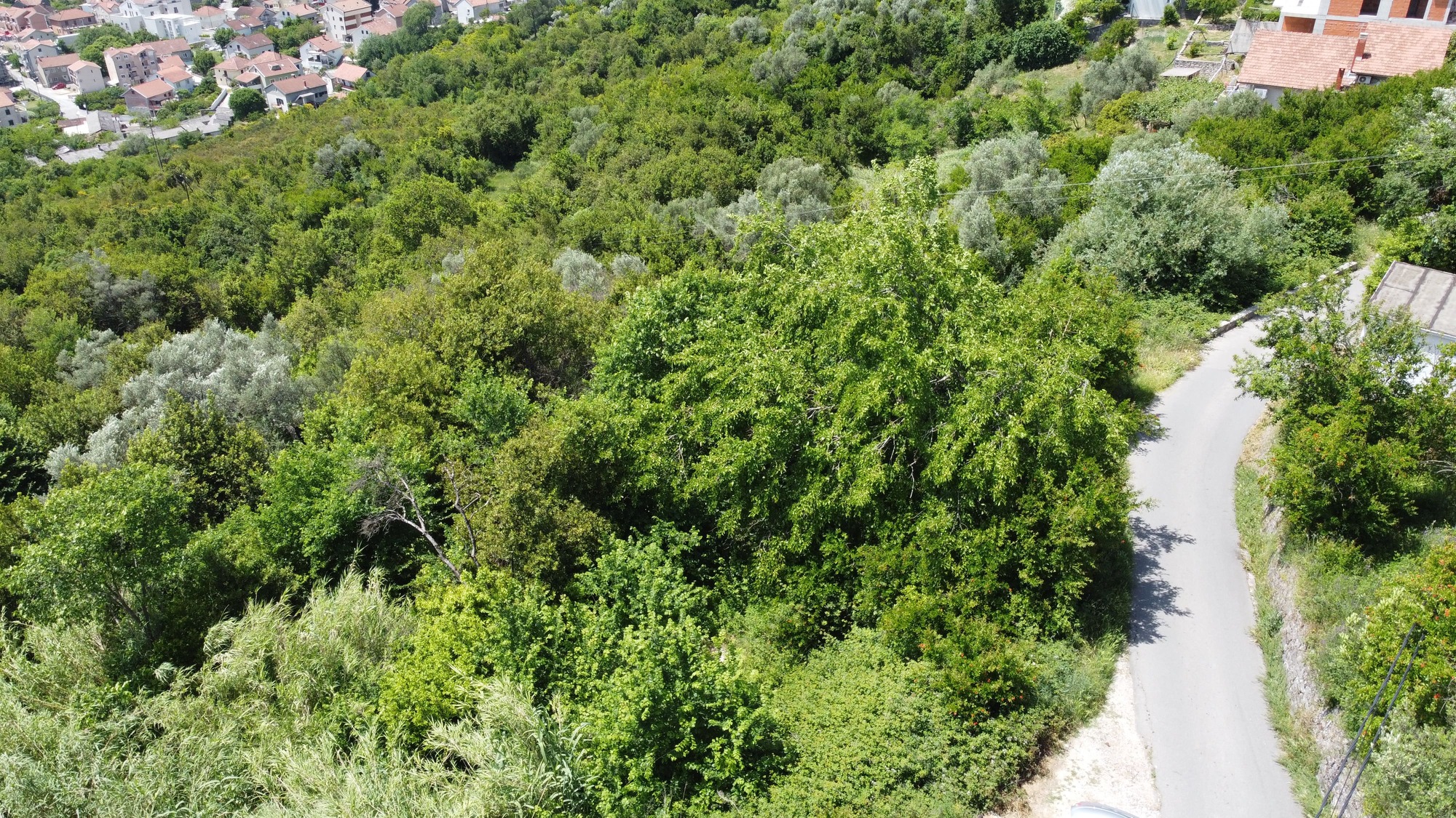Plot for sale (Tivat)