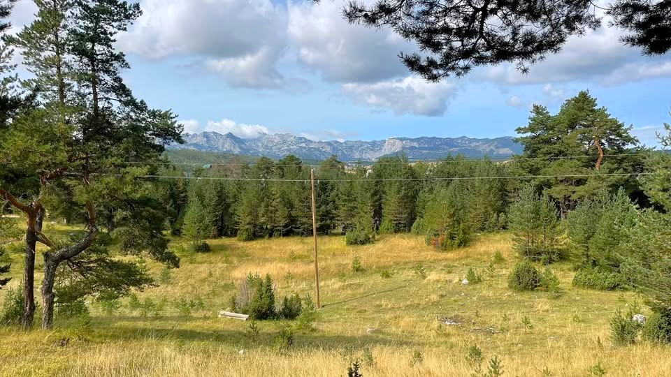Plots of land for sale (Zabljak)