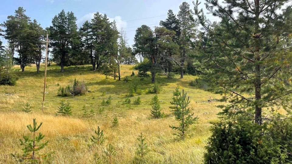 Plots of land for sale (Zabljak)