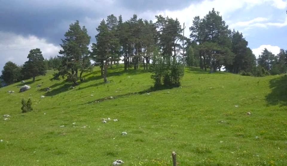 Plots of land for sale (Zabljak)