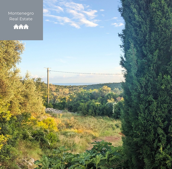 House with additional plot on the Luštica peninsula (Herceg Novi)