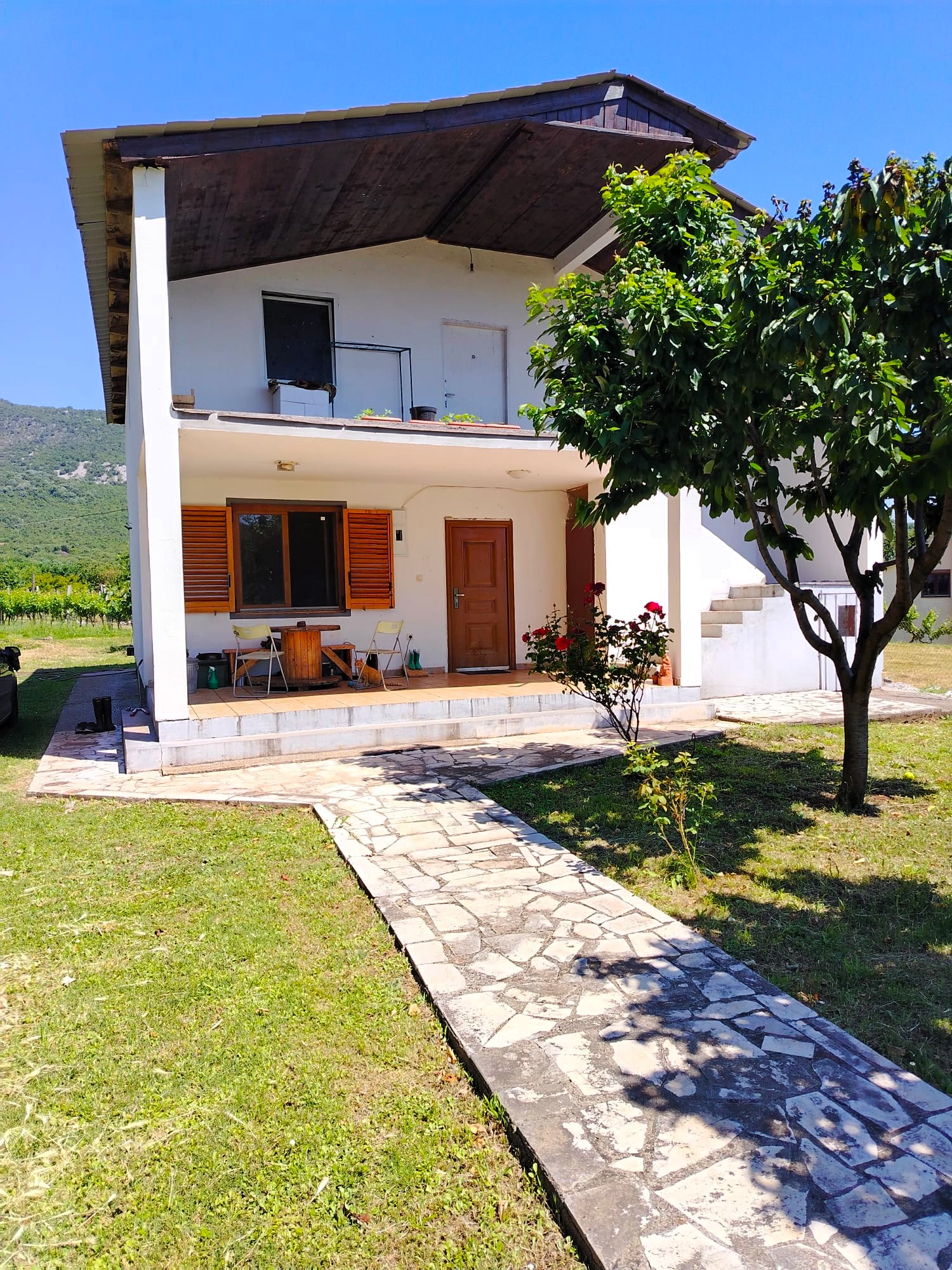 Vineyard estate for sale in Danilovgrad