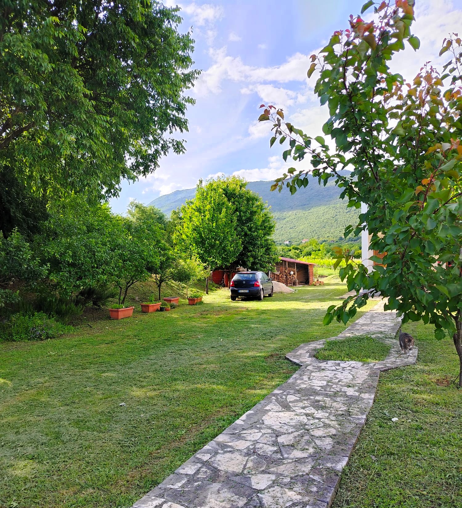 Vineyard estate for sale in Danilovgrad