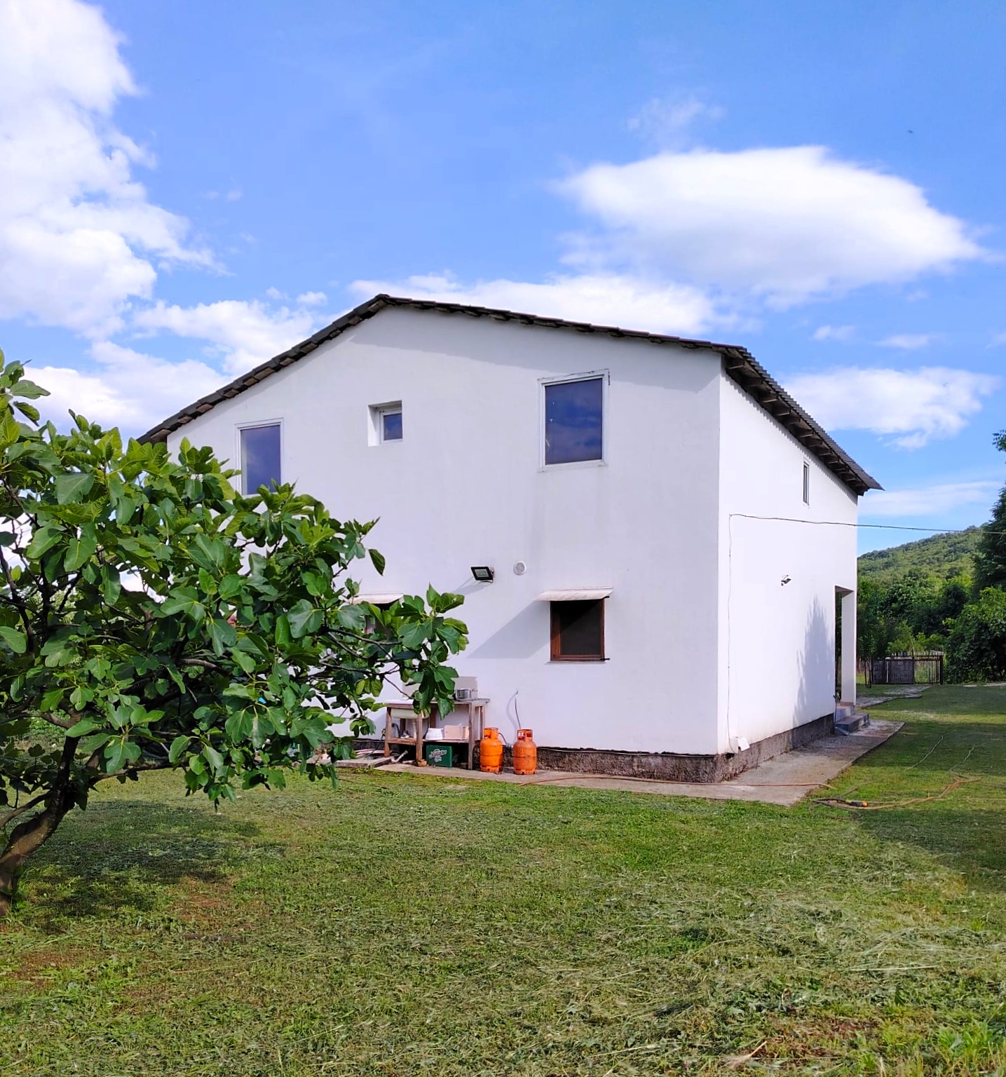 Vineyard estate for sale in Danilovgrad