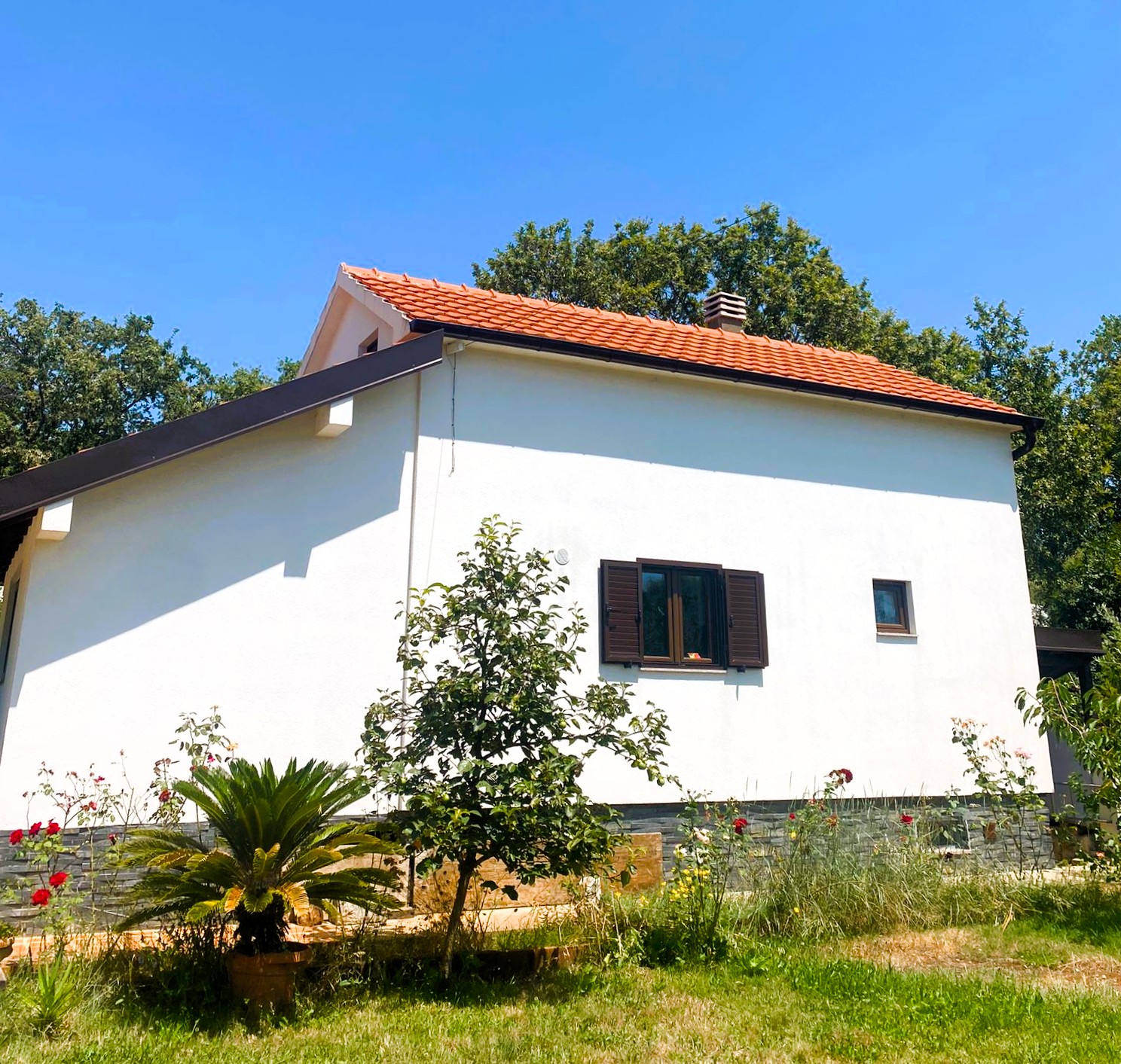 Charming house with garden in Krimovica (Kotor)