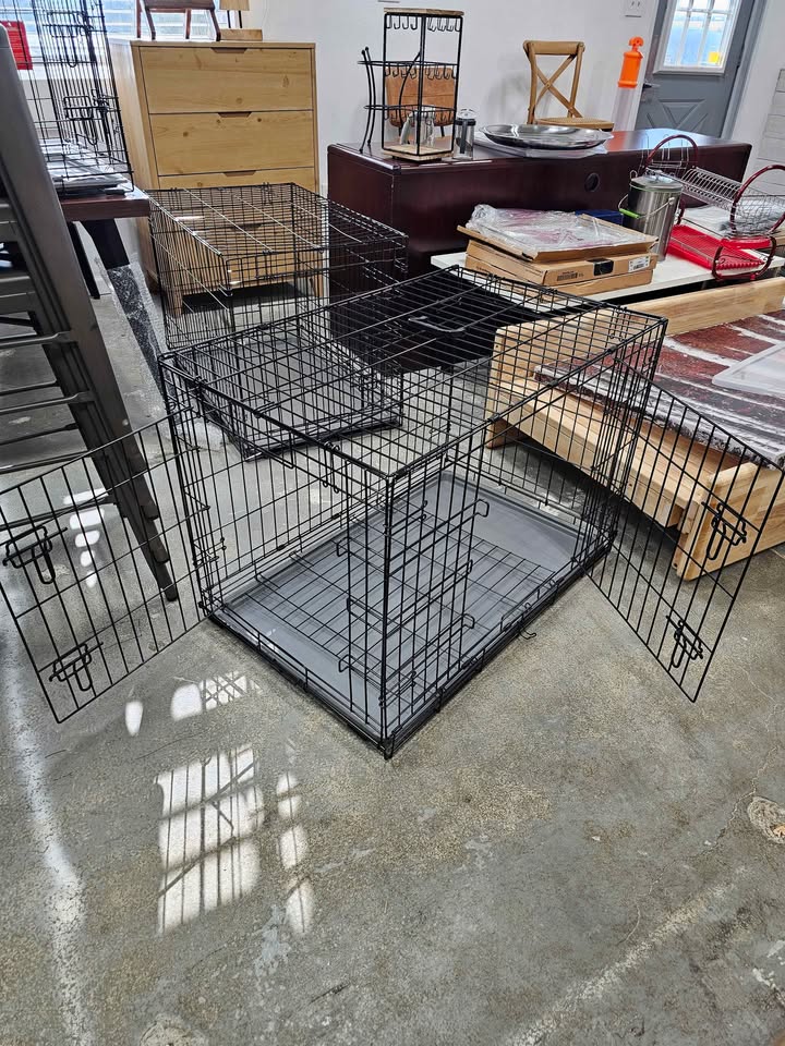 Wire Collapsible Dog Crate - Black