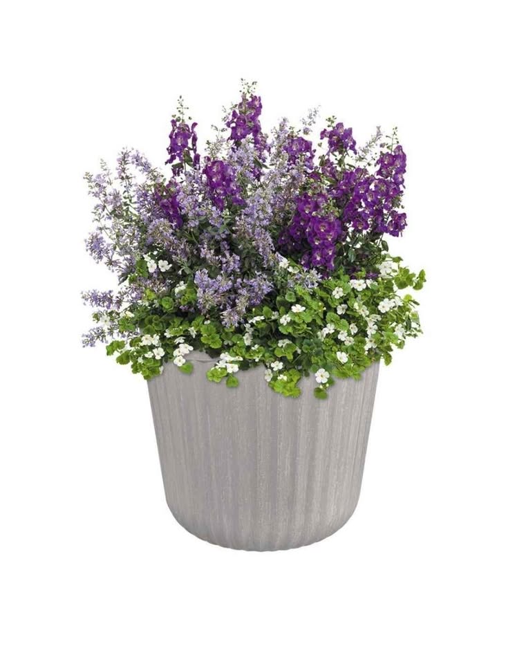 (Set of 2) 15 in. x 15 in. Arlington Fluted Antique Ghost Self-Watering Resin Planter