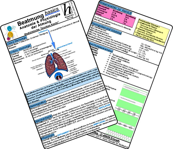 Beatmung basics - Anatomie & Physiologie der Atmung