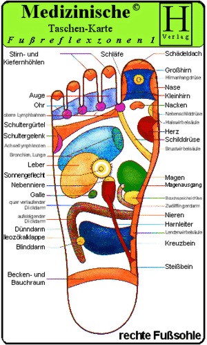 Fußreflexzonen Therapie -Fußsohle-
