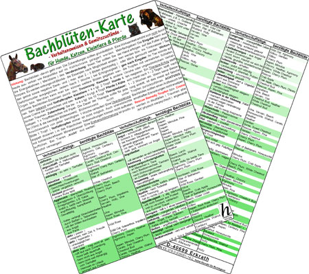 Bachblüten-Karten für Hunde, Katzen, Kleintiere & Pferde - Verhaltensweisen & Gemütszustände-